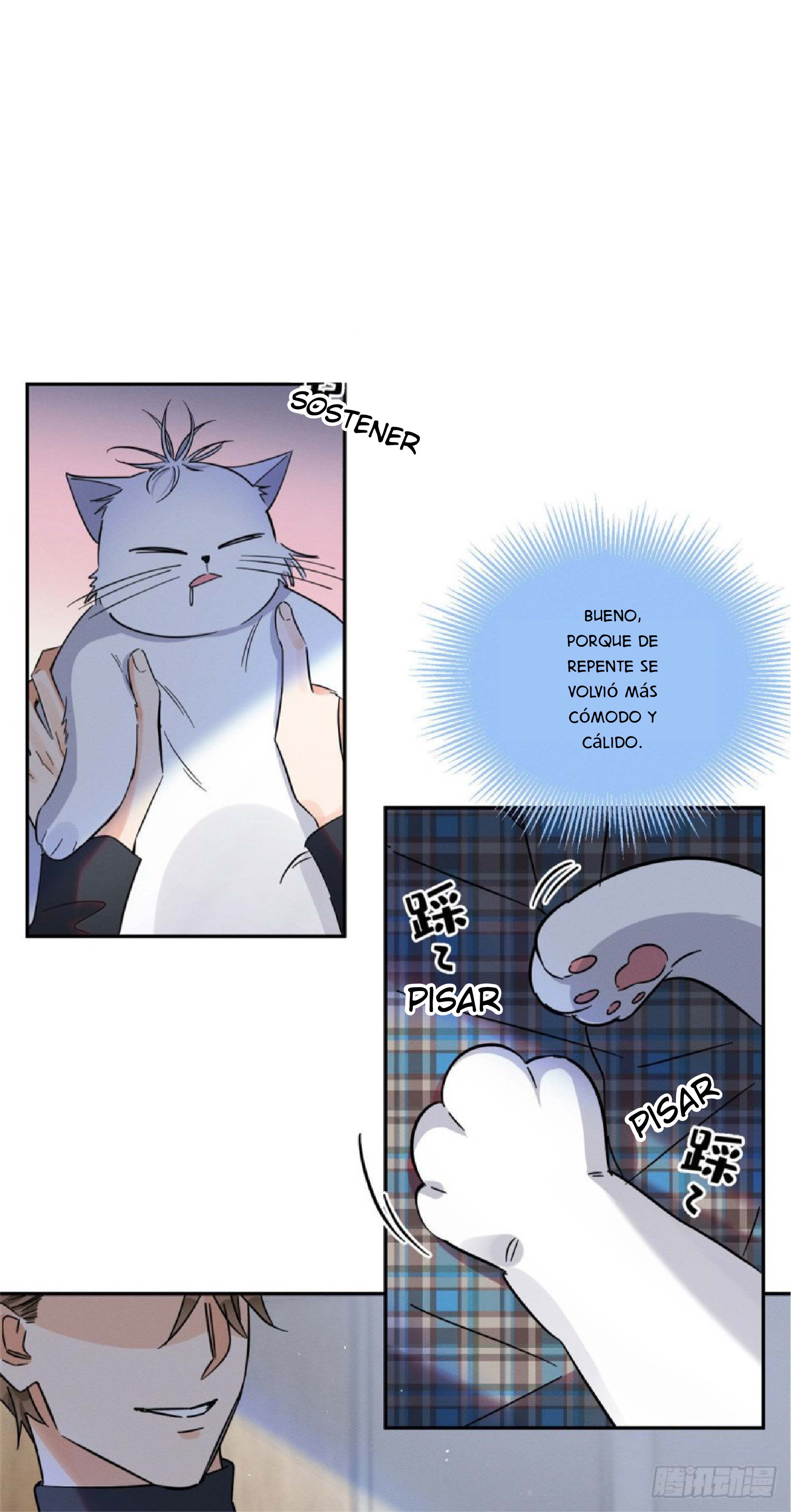 10 Tengo que trabajar duro para ser un gato hoy!