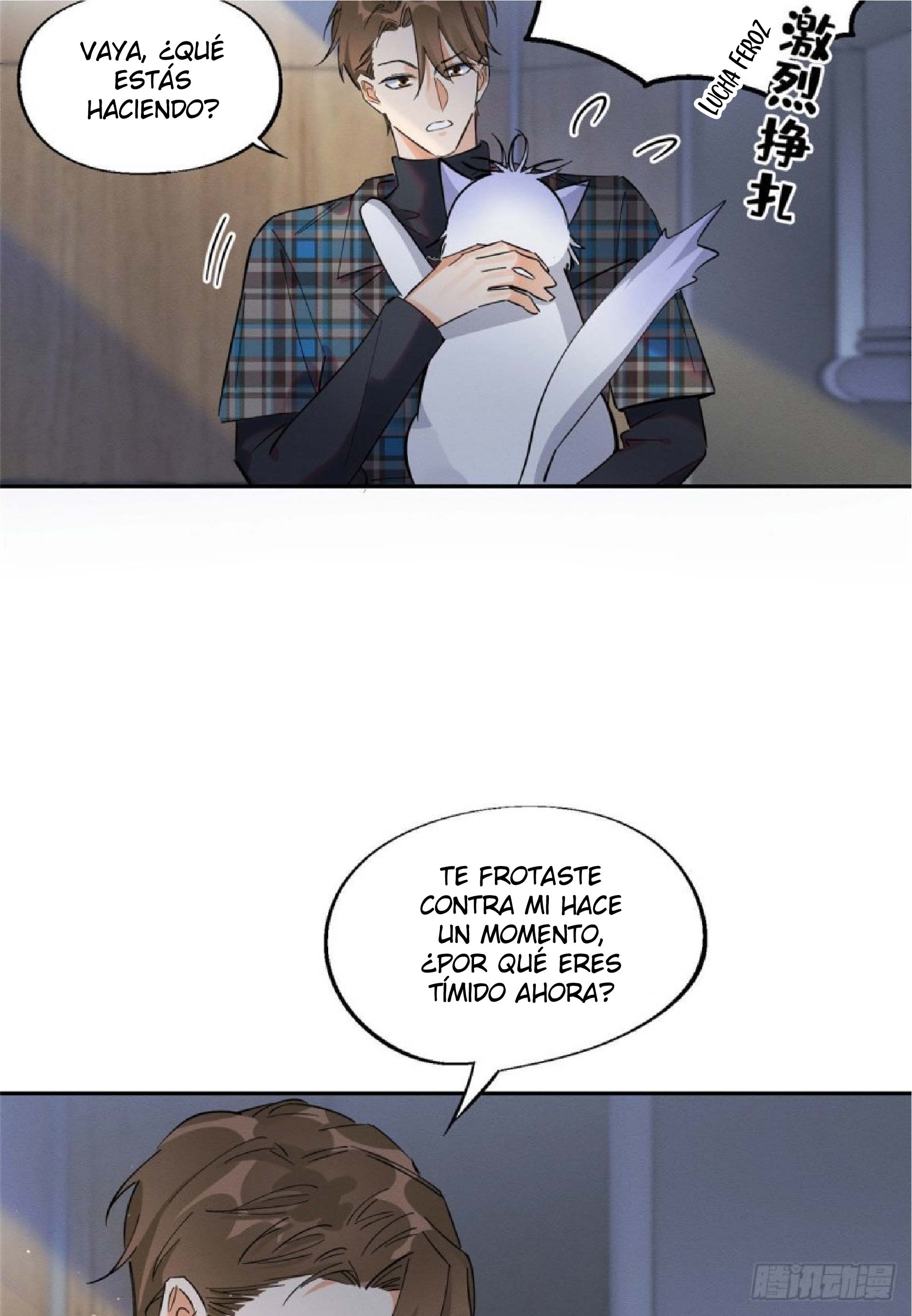 17 Tengo que trabajar duro para ser un gato hoy!