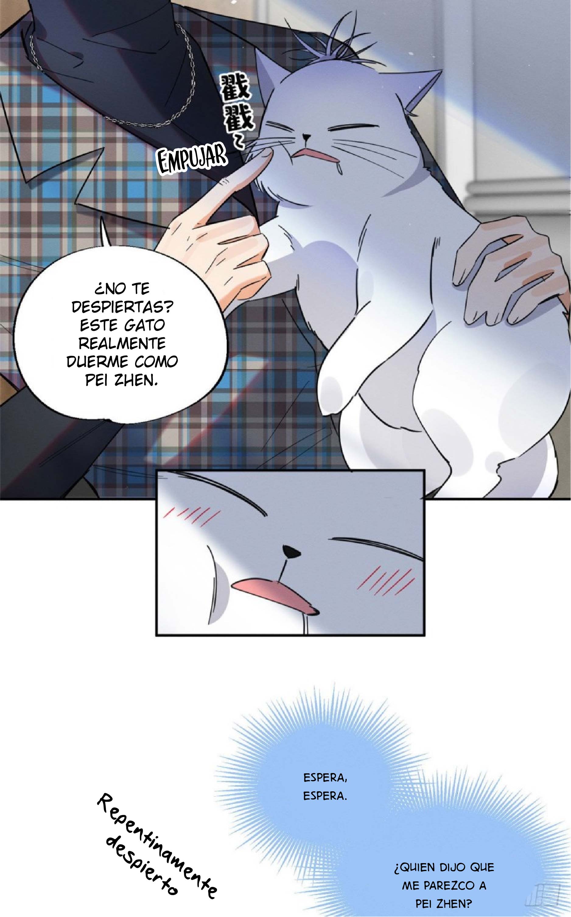 11 Tengo que trabajar duro para ser un gato hoy!