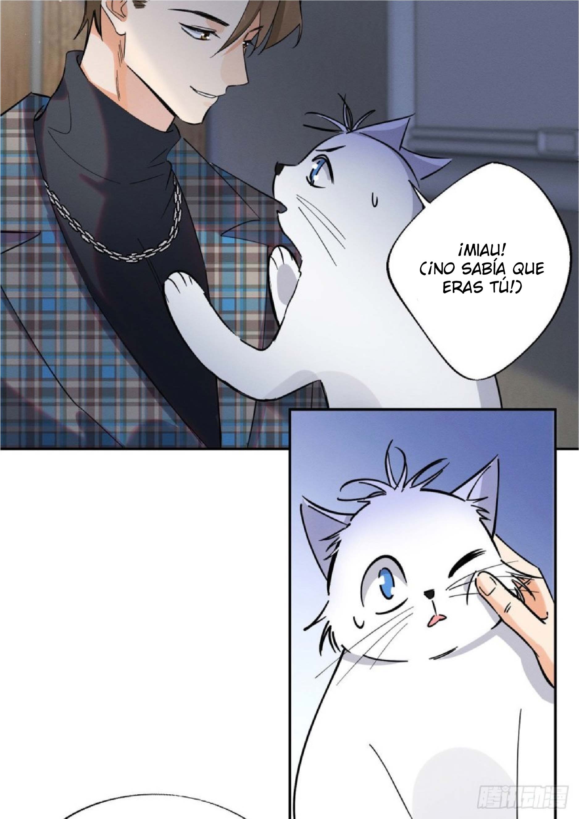 18 Tengo que trabajar duro para ser un gato hoy!