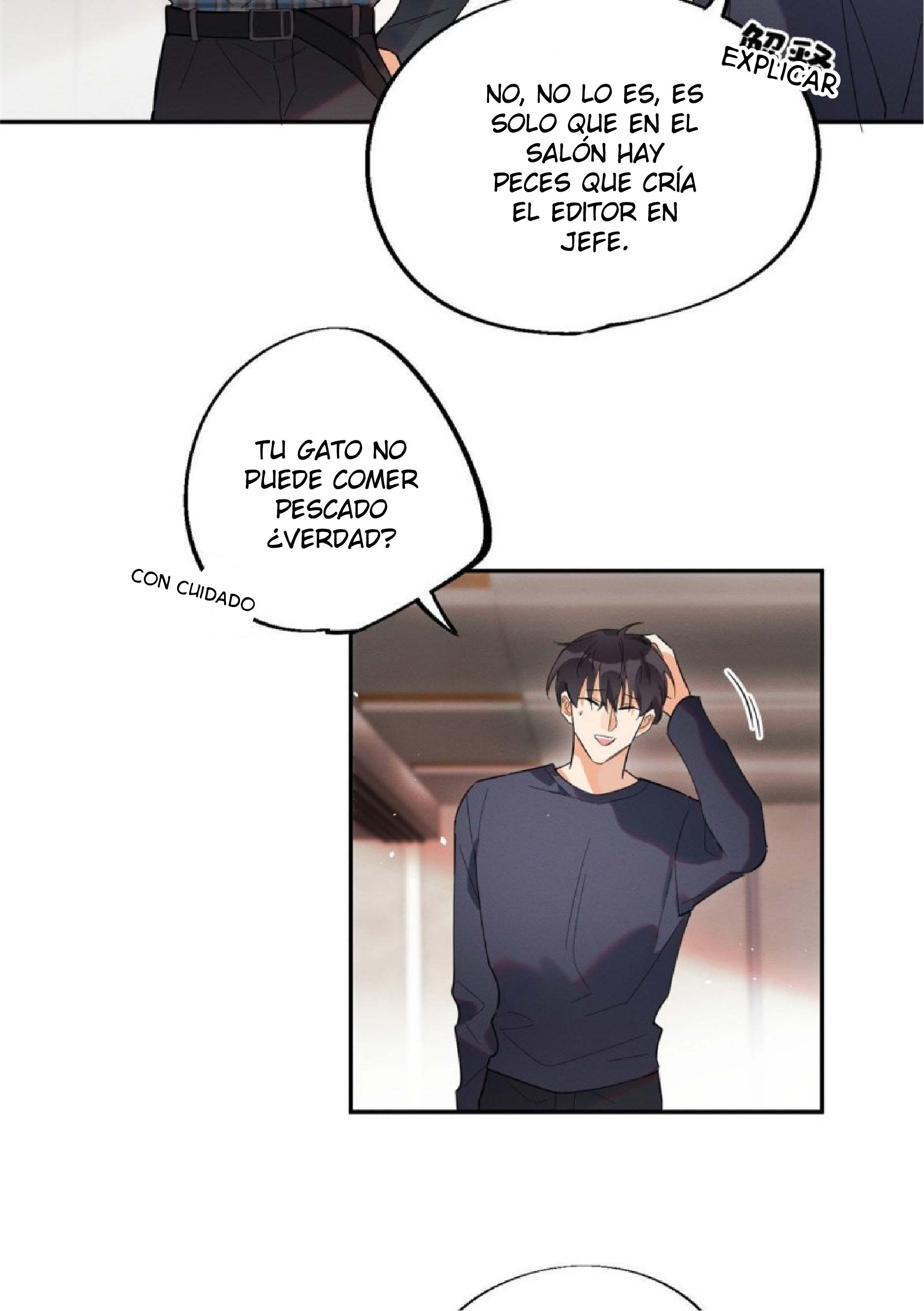 25 Tengo que trabajar duro para ser un gato hoy!