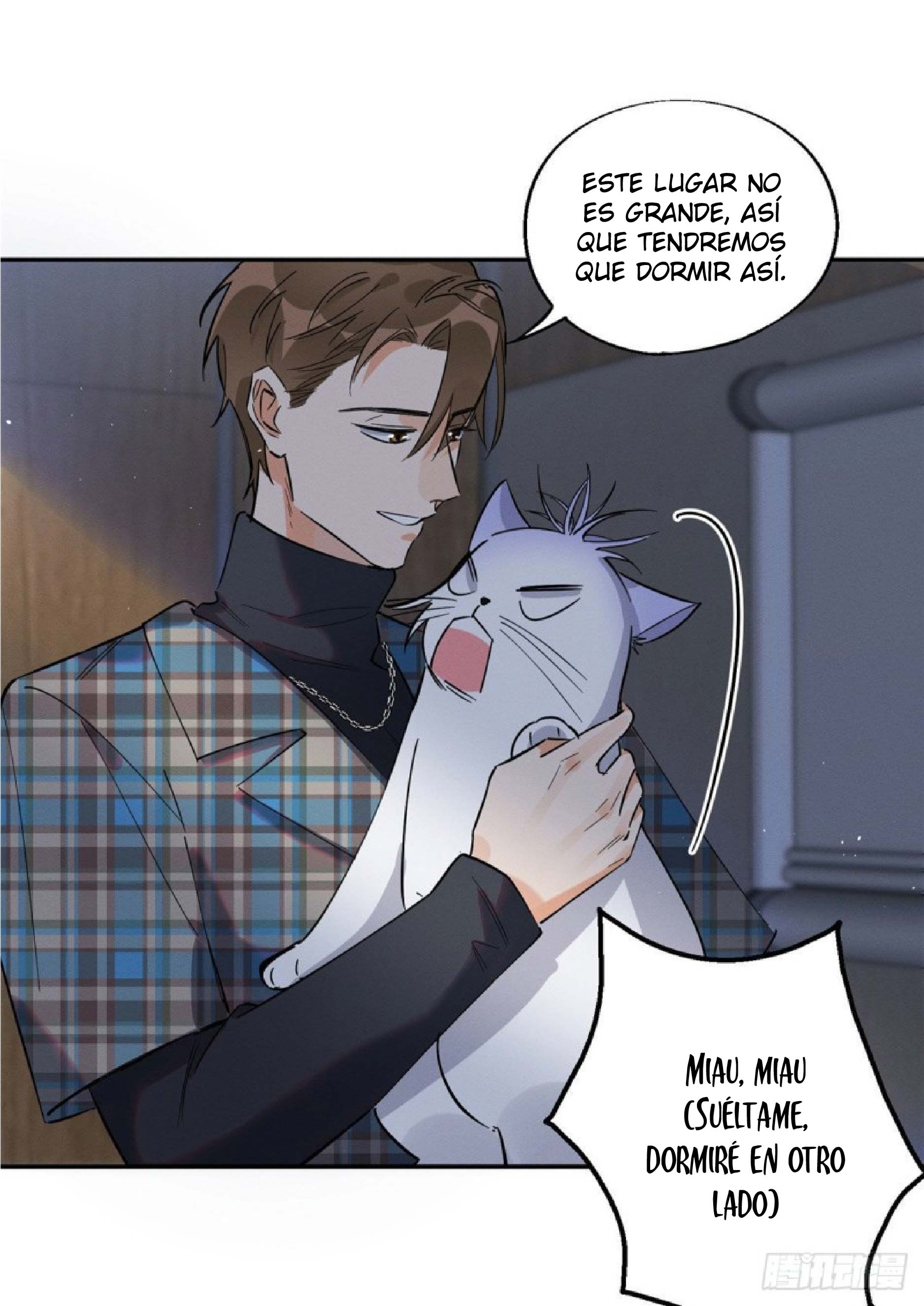 14 Tengo que trabajar duro para ser un gato hoy!