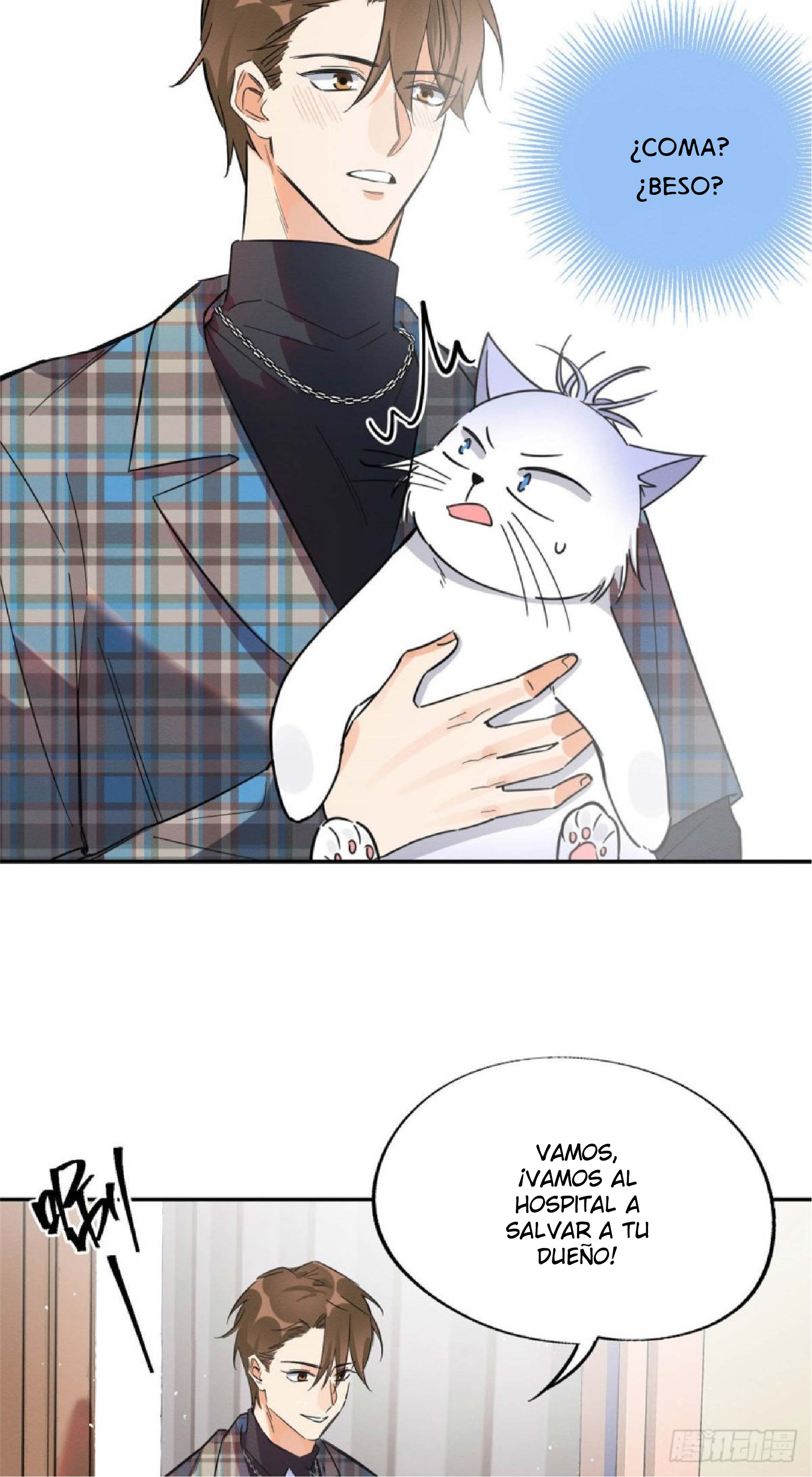 9 Tengo que trabajar duro para ser un gato hoy!