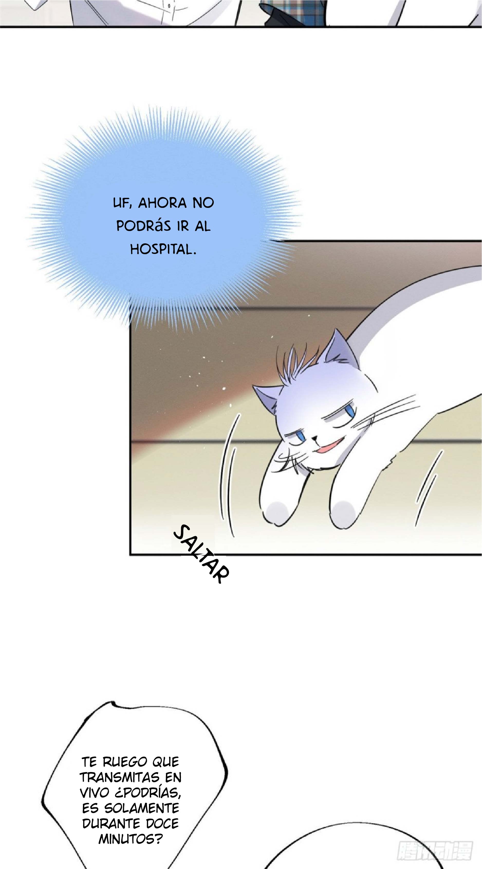 13 Tengo que trabajar duro para ser un gato hoy!