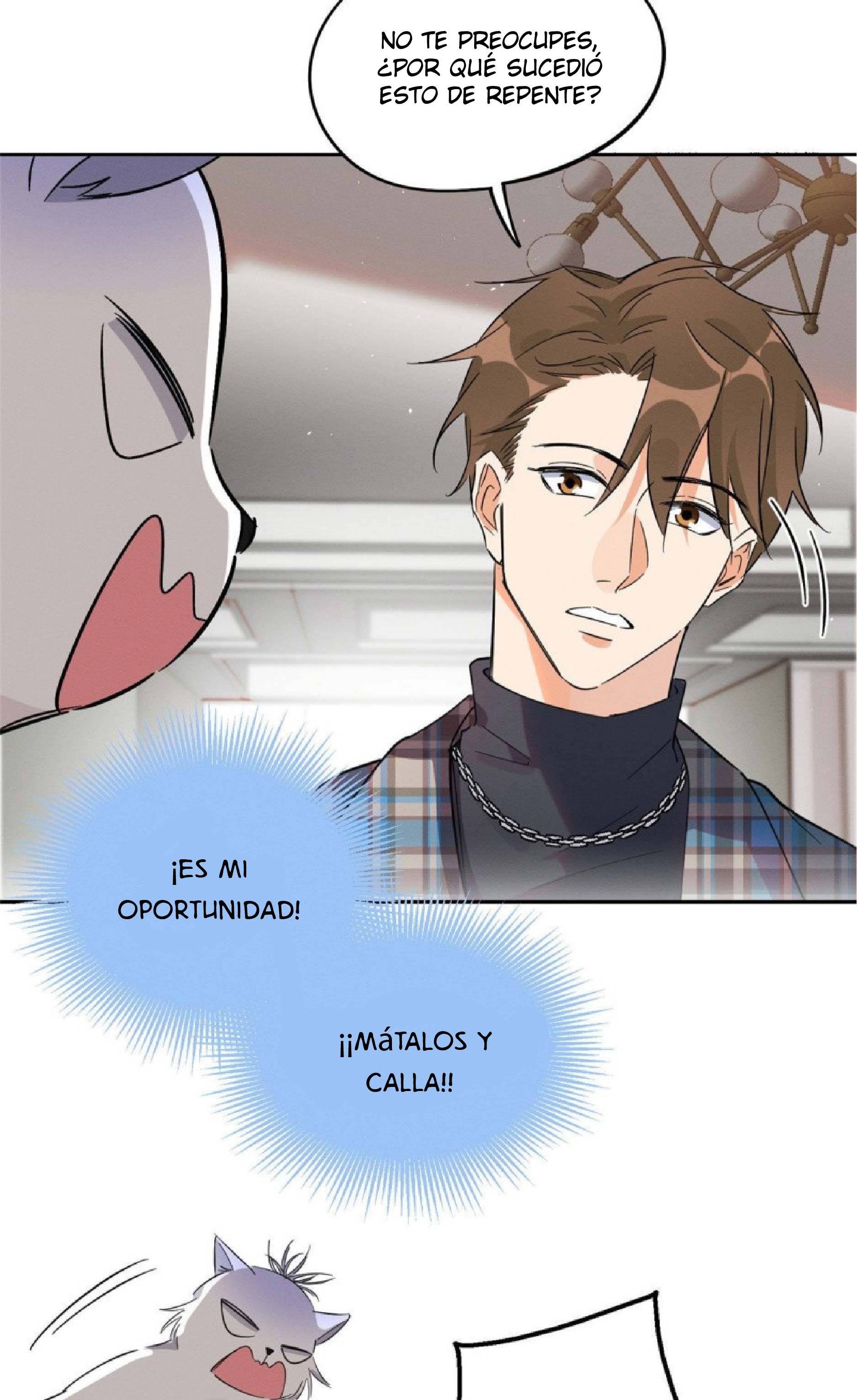 3 Tengo que trabajar duro para ser un gato hoy!