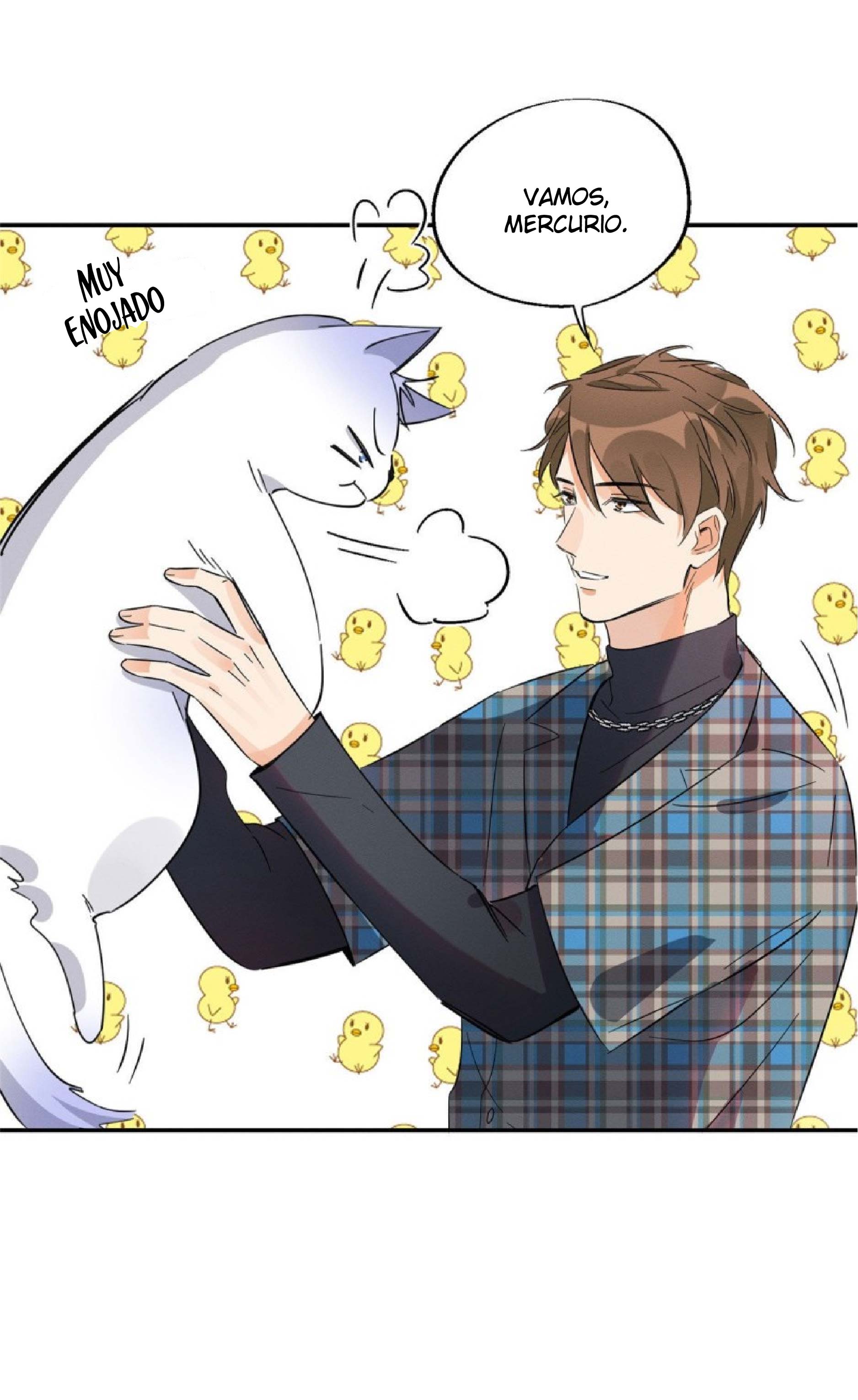 5 Tengo que trabajar duro para ser un gato hoy!