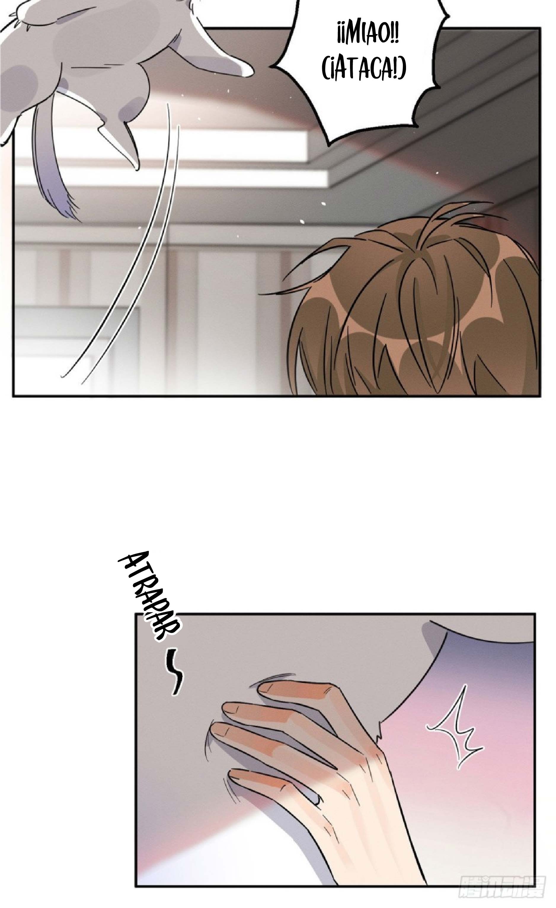 4 Tengo que trabajar duro para ser un gato hoy!