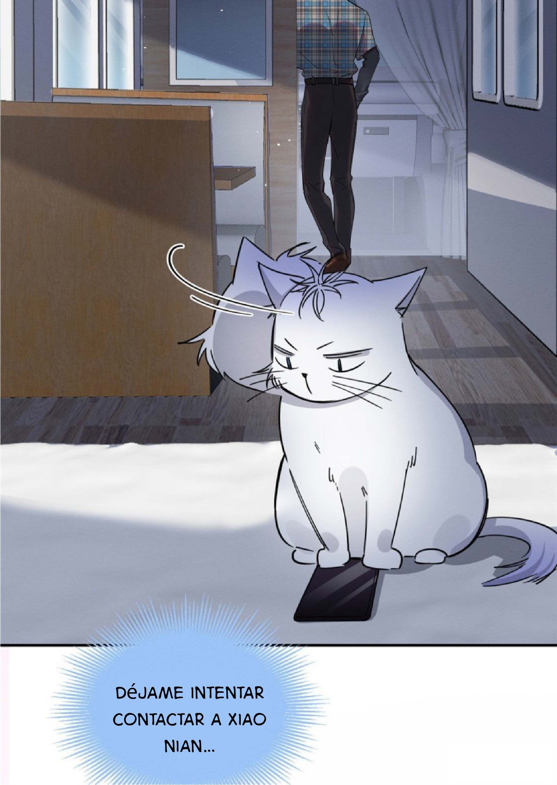 28 Tengo que trabajar duro para ser un gato hoy!