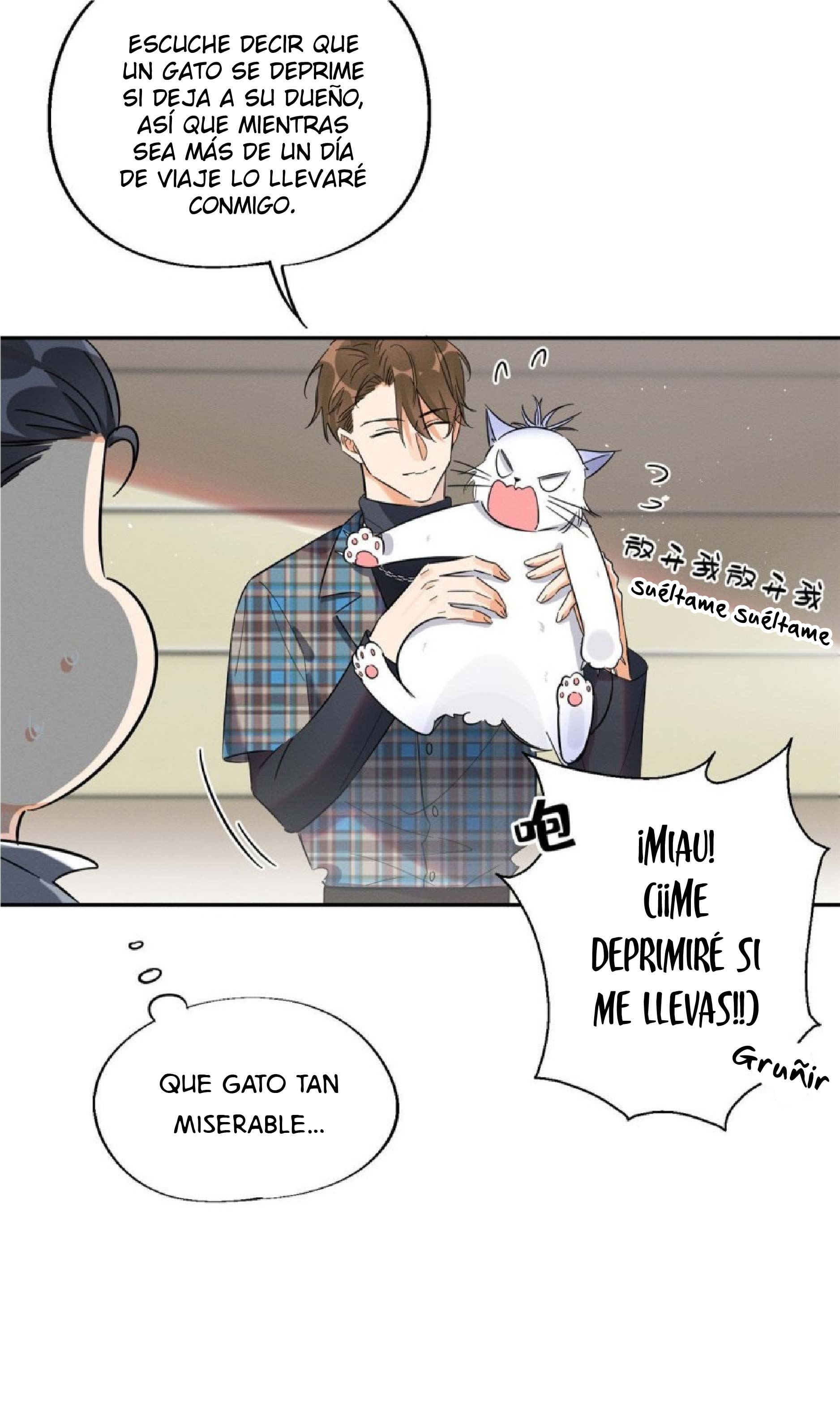 18 Tengo que trabajar duro para ser un gato hoy!