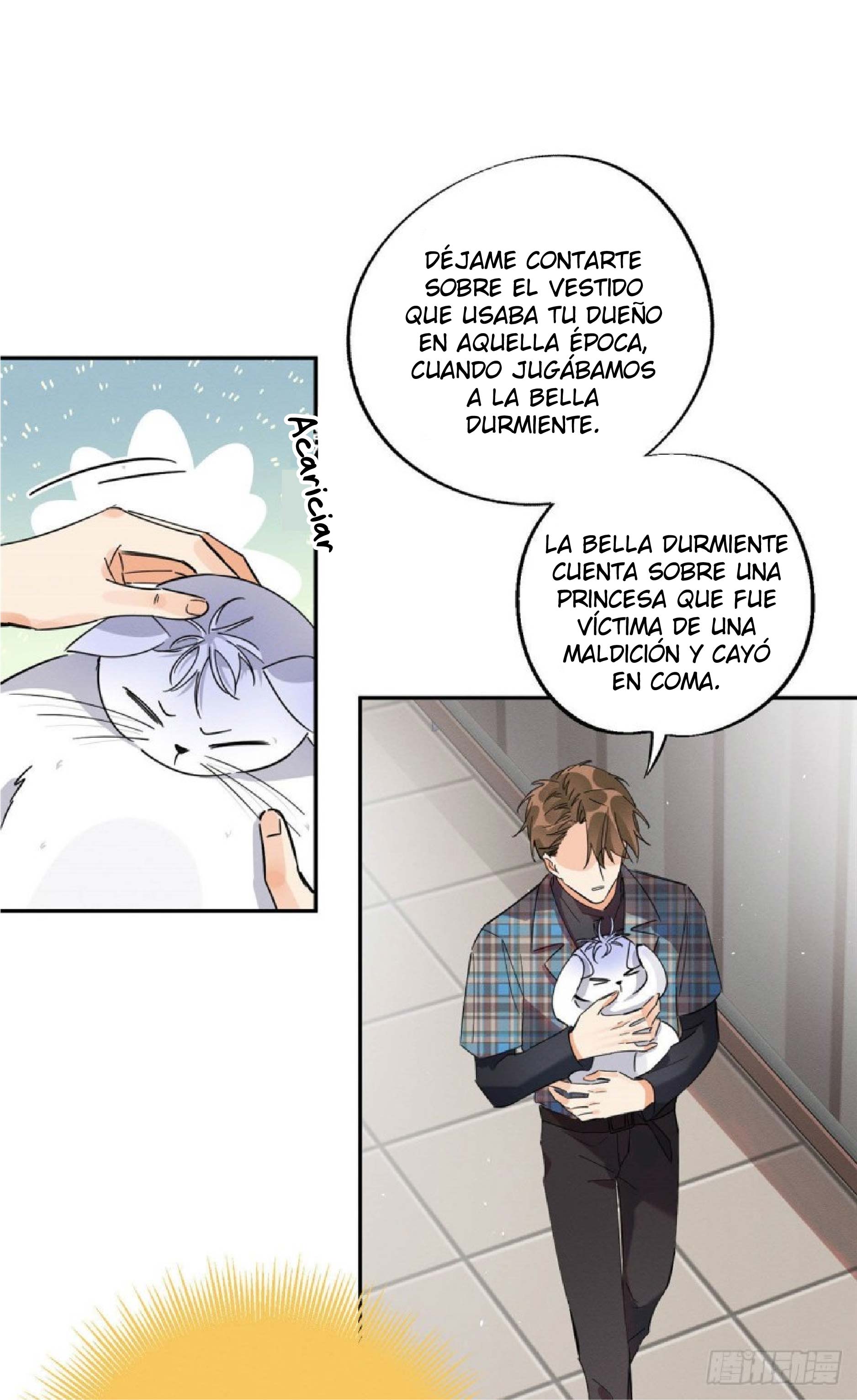 6 Tengo que trabajar duro para ser un gato hoy!