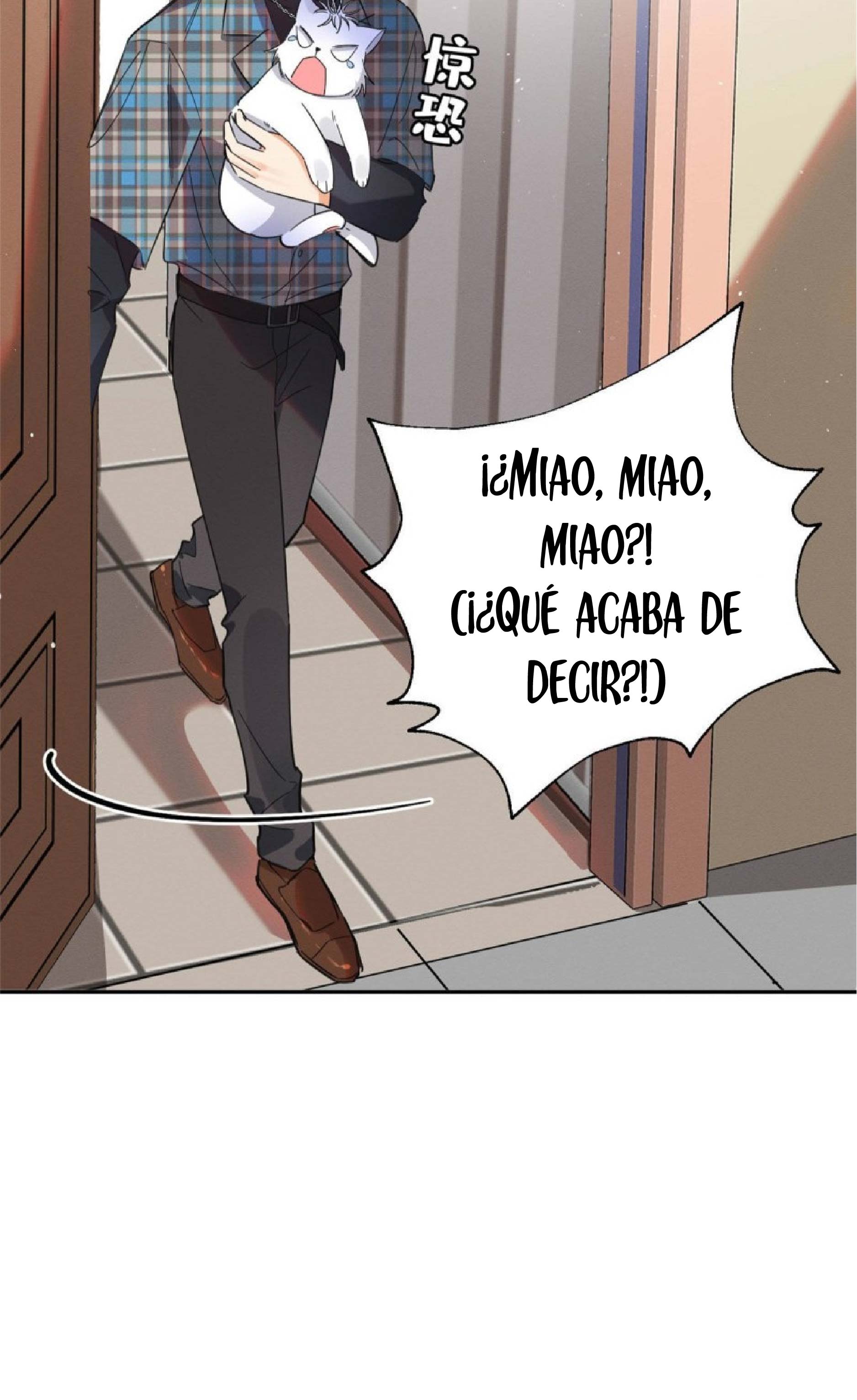 10 Tengo que trabajar duro para ser un gato hoy!