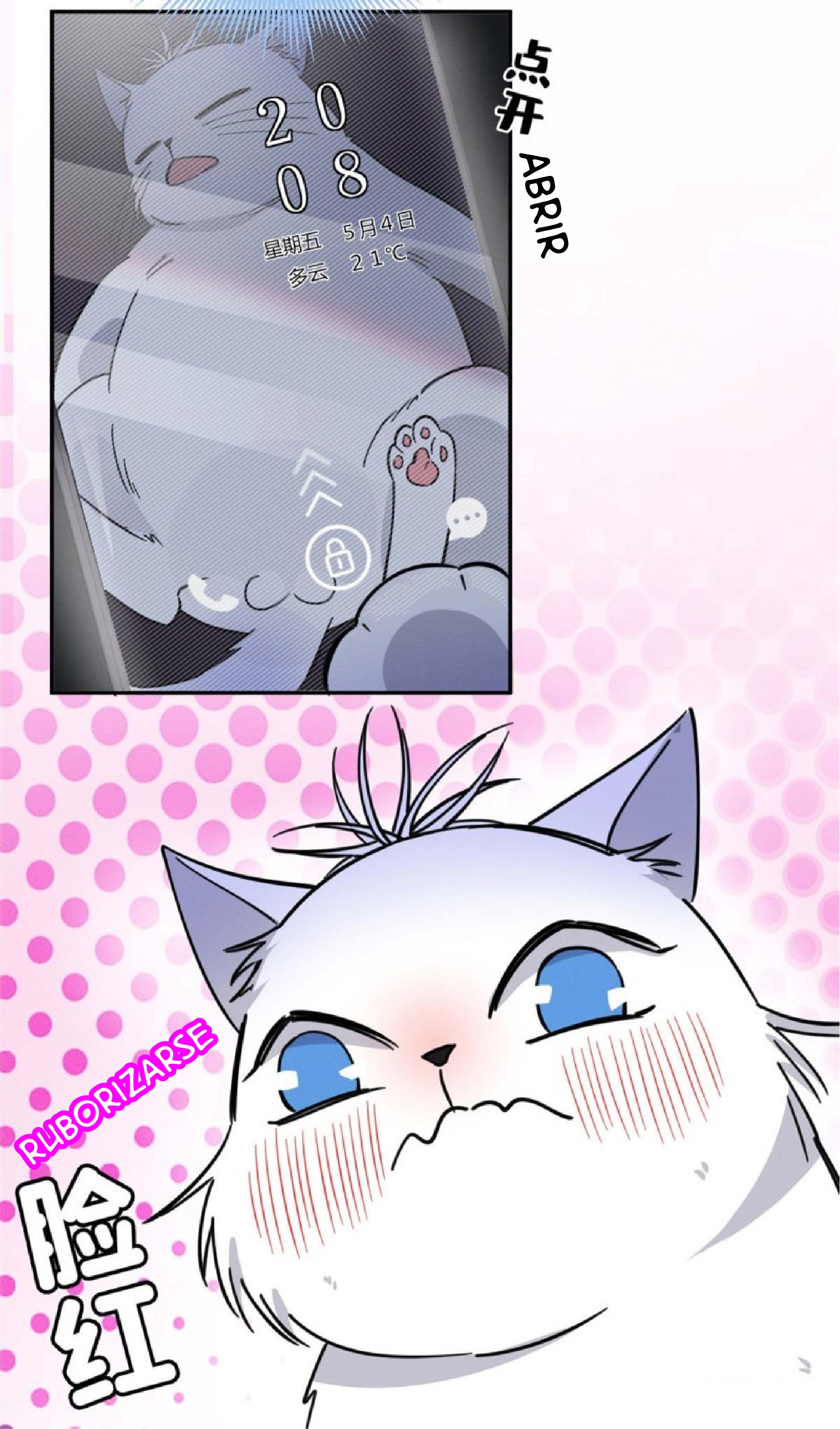 29 Tengo que trabajar duro para ser un gato hoy!