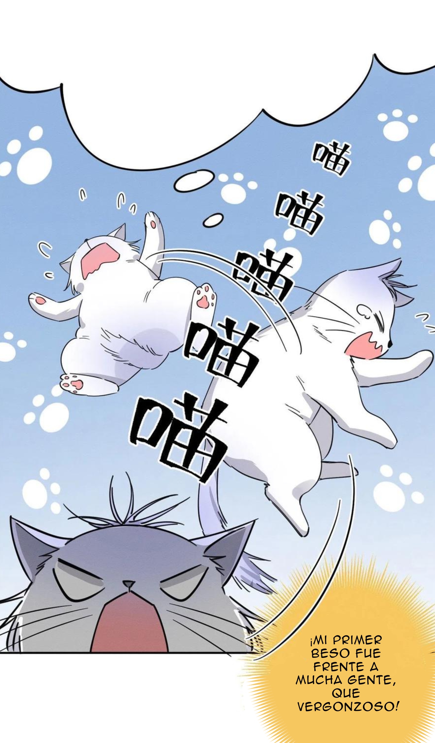 37 Tengo que trabajar duro para ser un gato hoy!