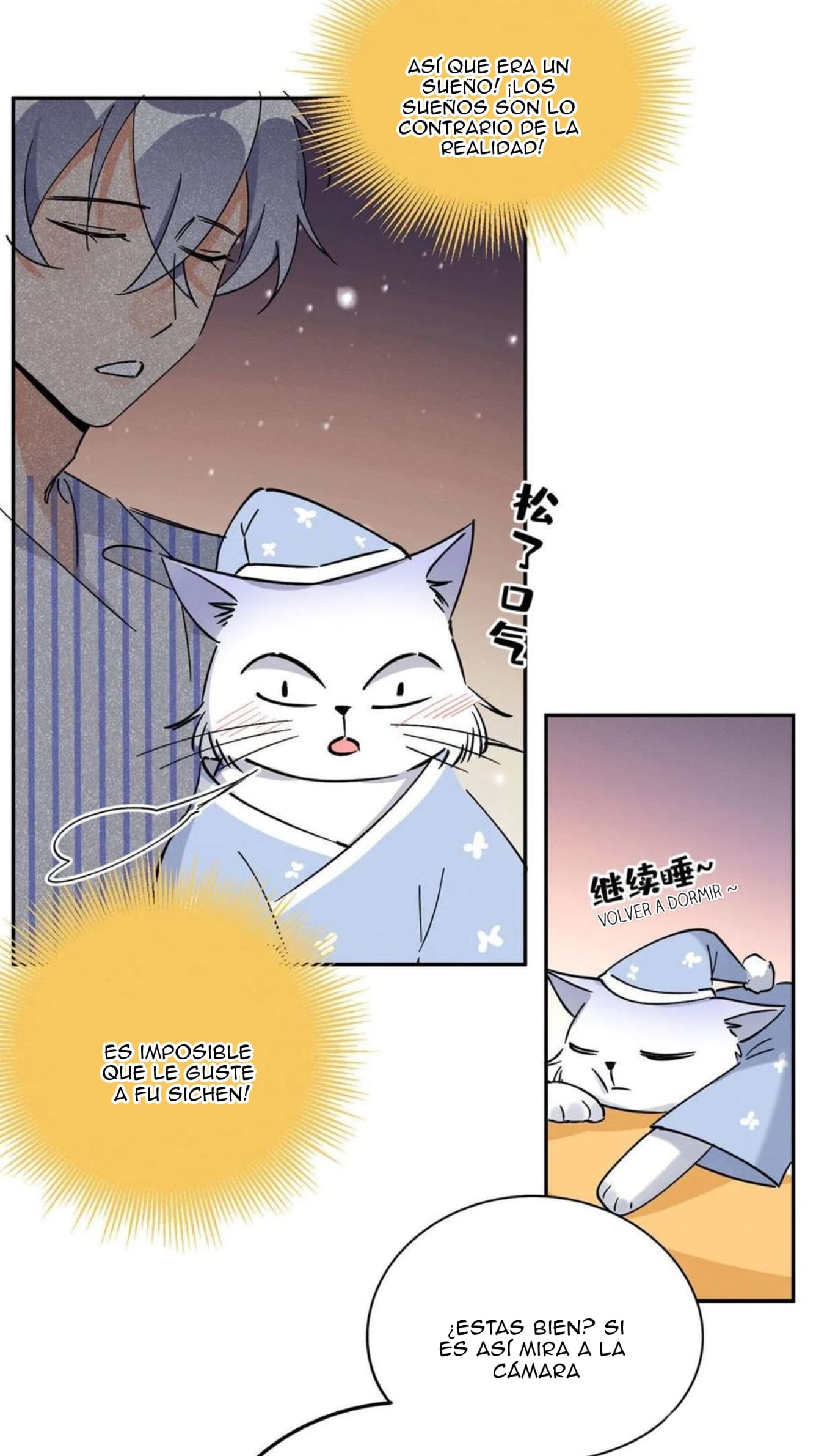 27 Tengo que trabajar duro para ser un gato hoy!