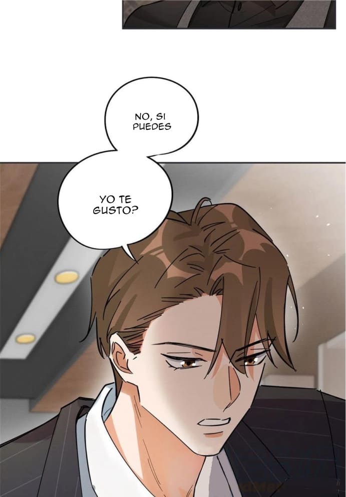 14 Tengo que trabajar duro para ser un gato hoy!