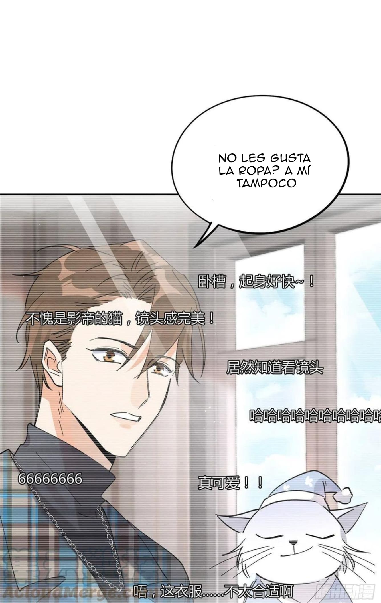 30 Tengo que trabajar duro para ser un gato hoy!