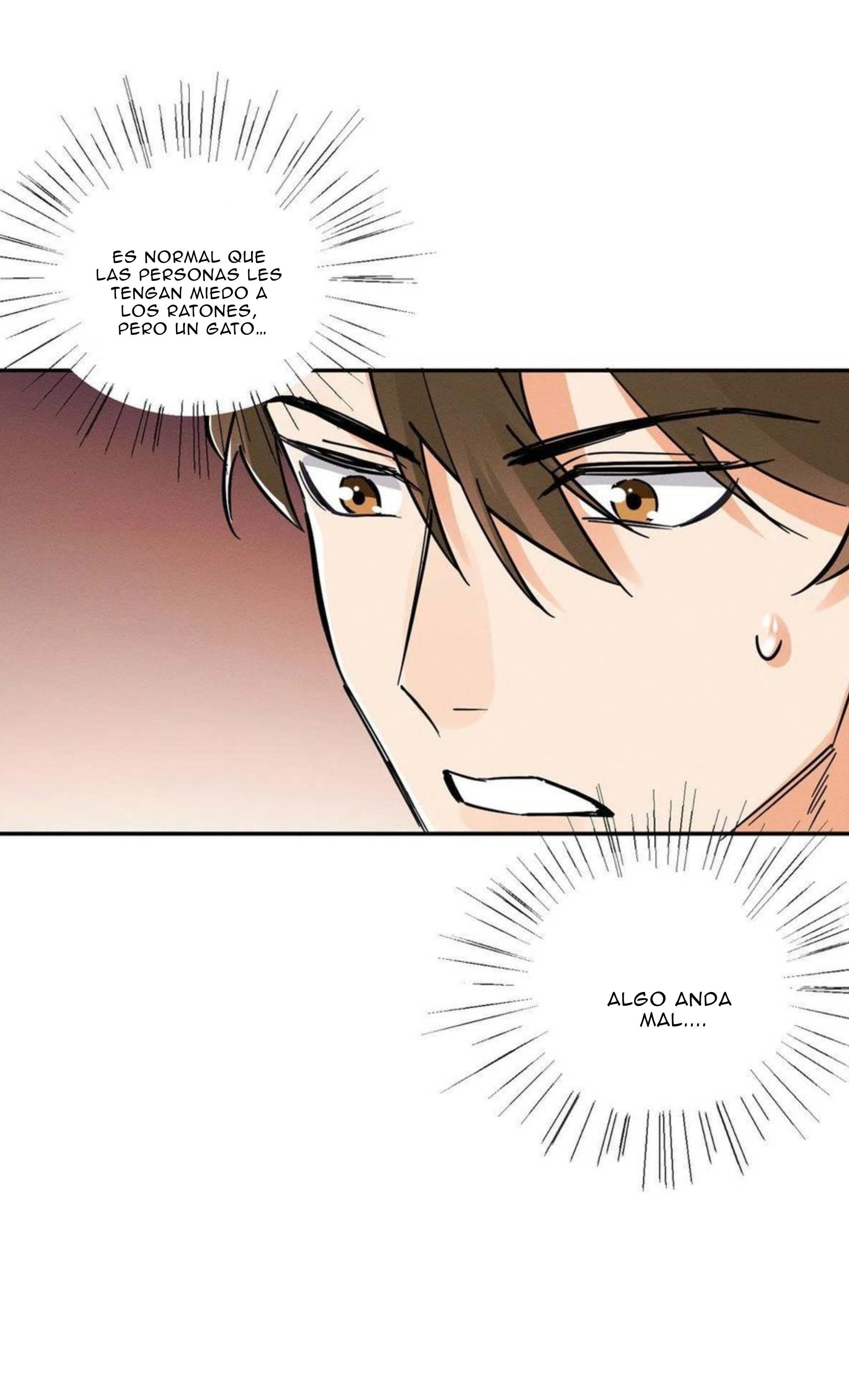 14 Tengo que trabajar duro para ser un gato hoy!