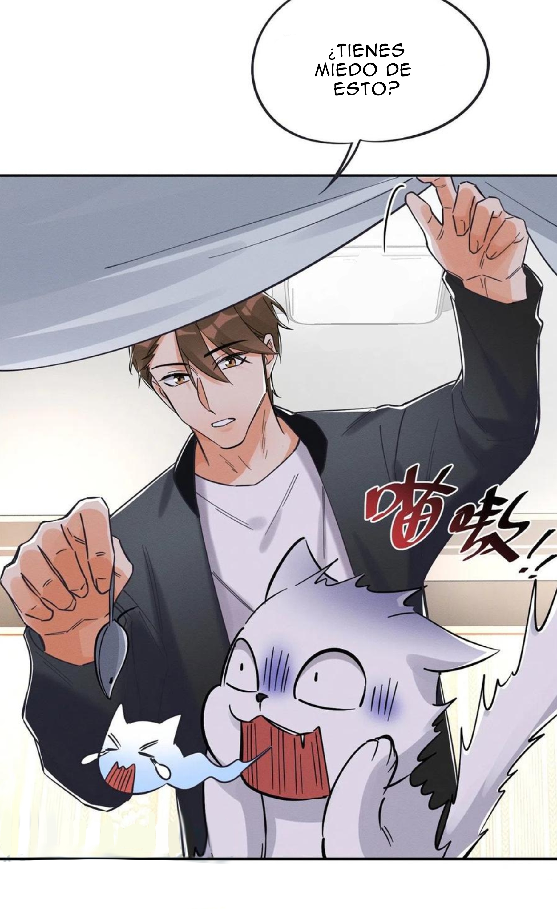 12 Tengo que trabajar duro para ser un gato hoy!