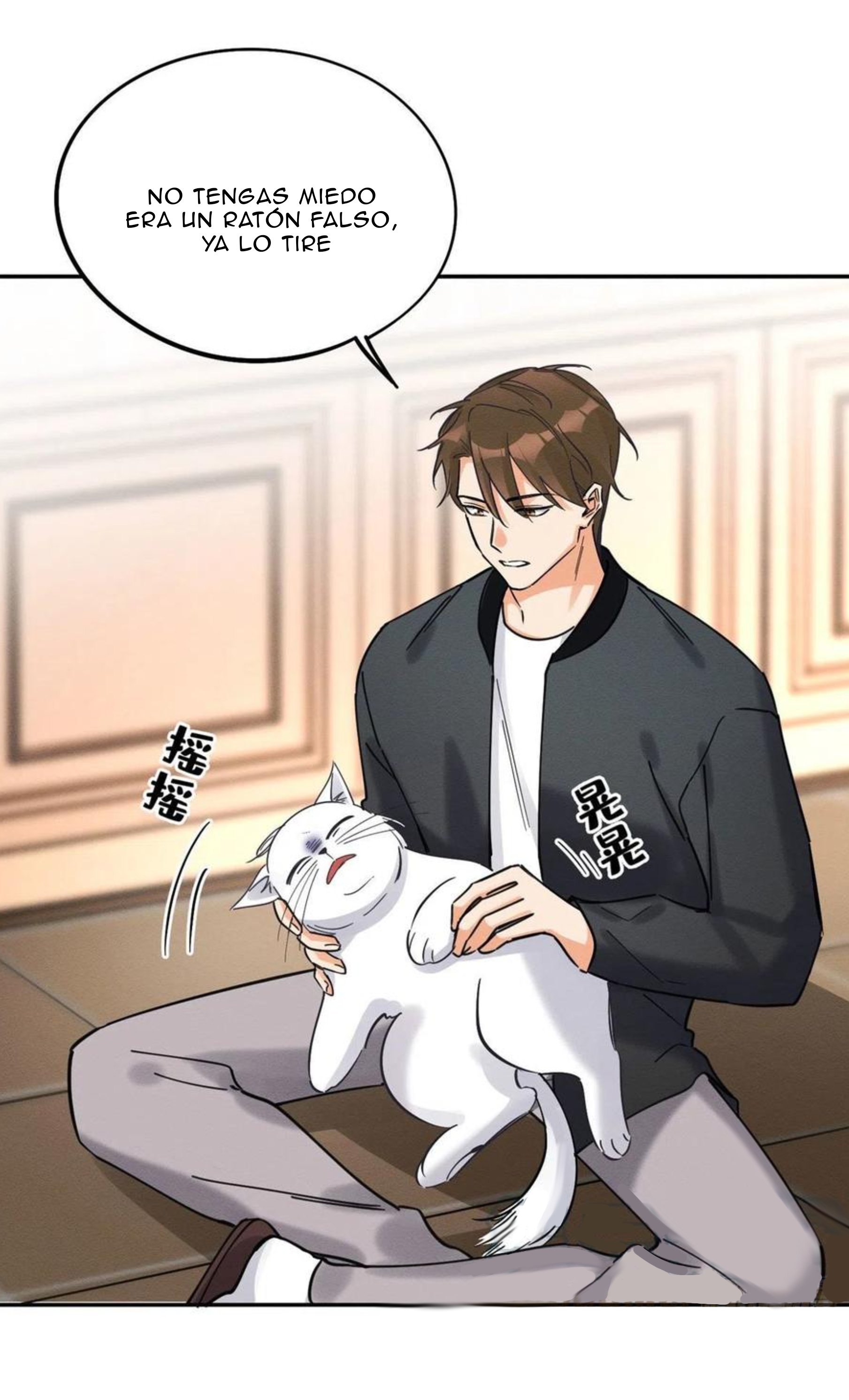 15 Tengo que trabajar duro para ser un gato hoy!