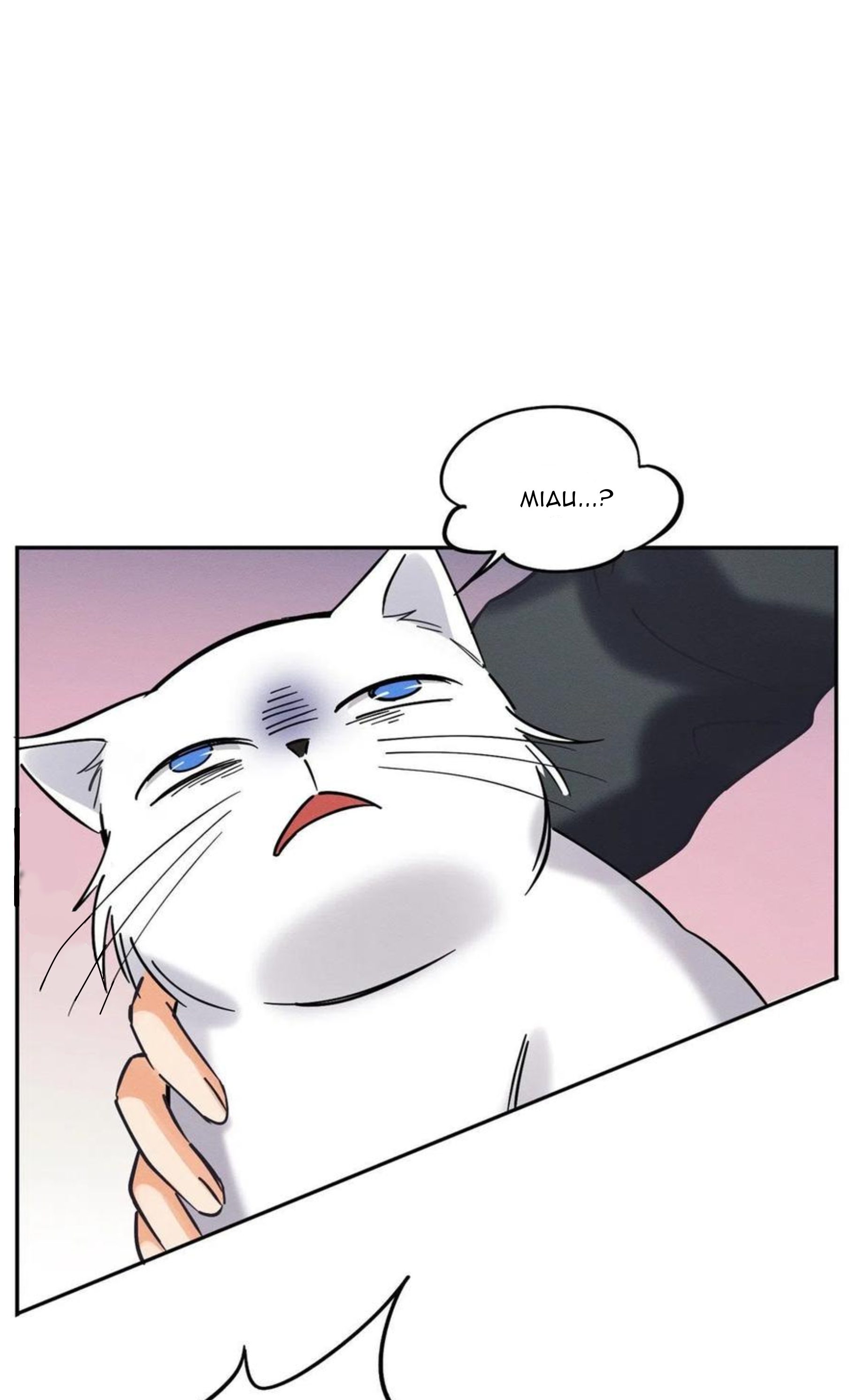 16 Tengo que trabajar duro para ser un gato hoy!