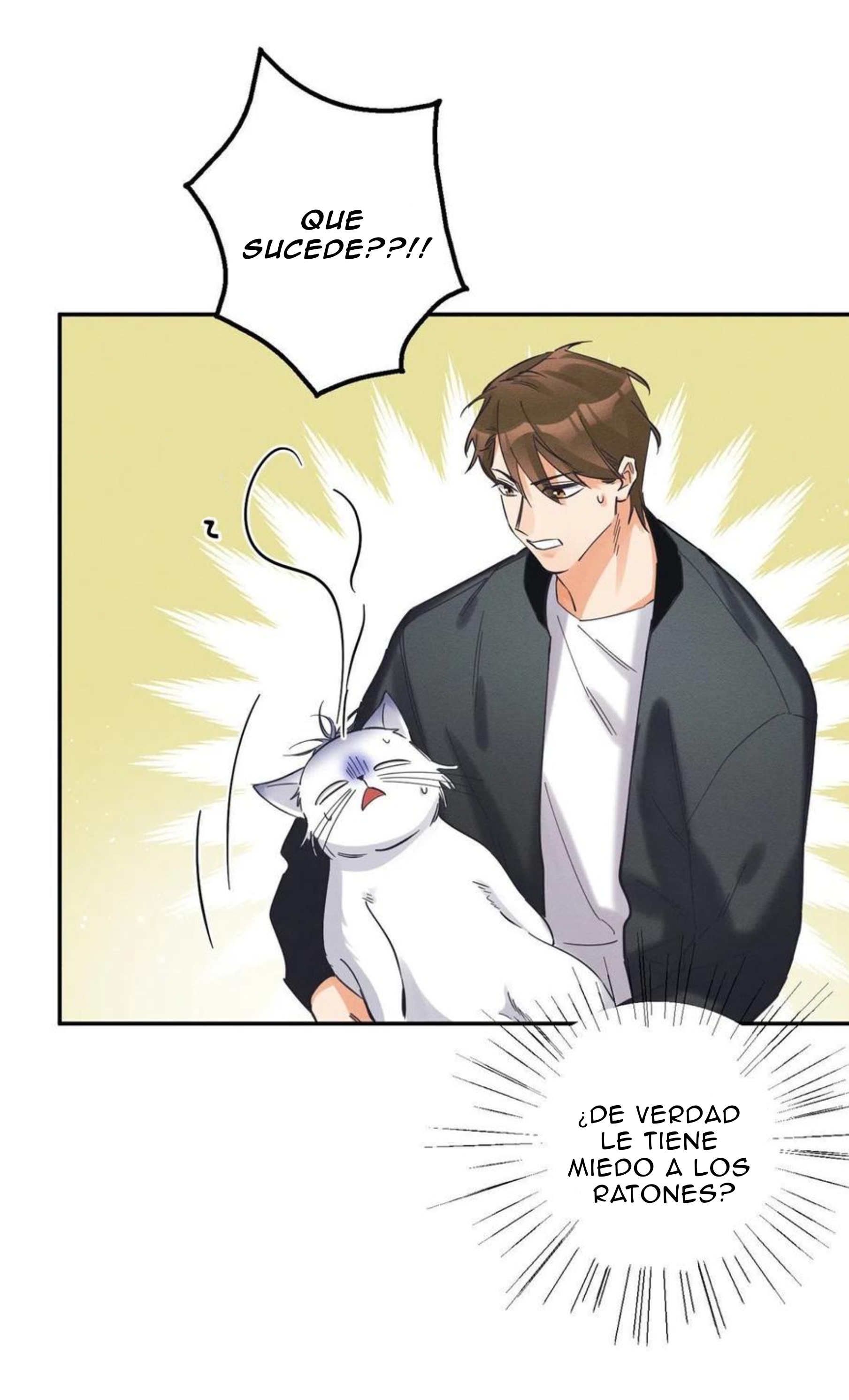 13 Tengo que trabajar duro para ser un gato hoy!