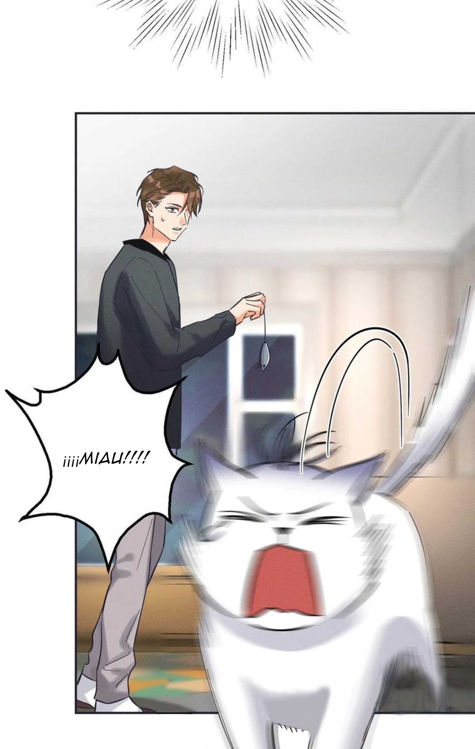 9 Tengo que trabajar duro para ser un gato hoy!