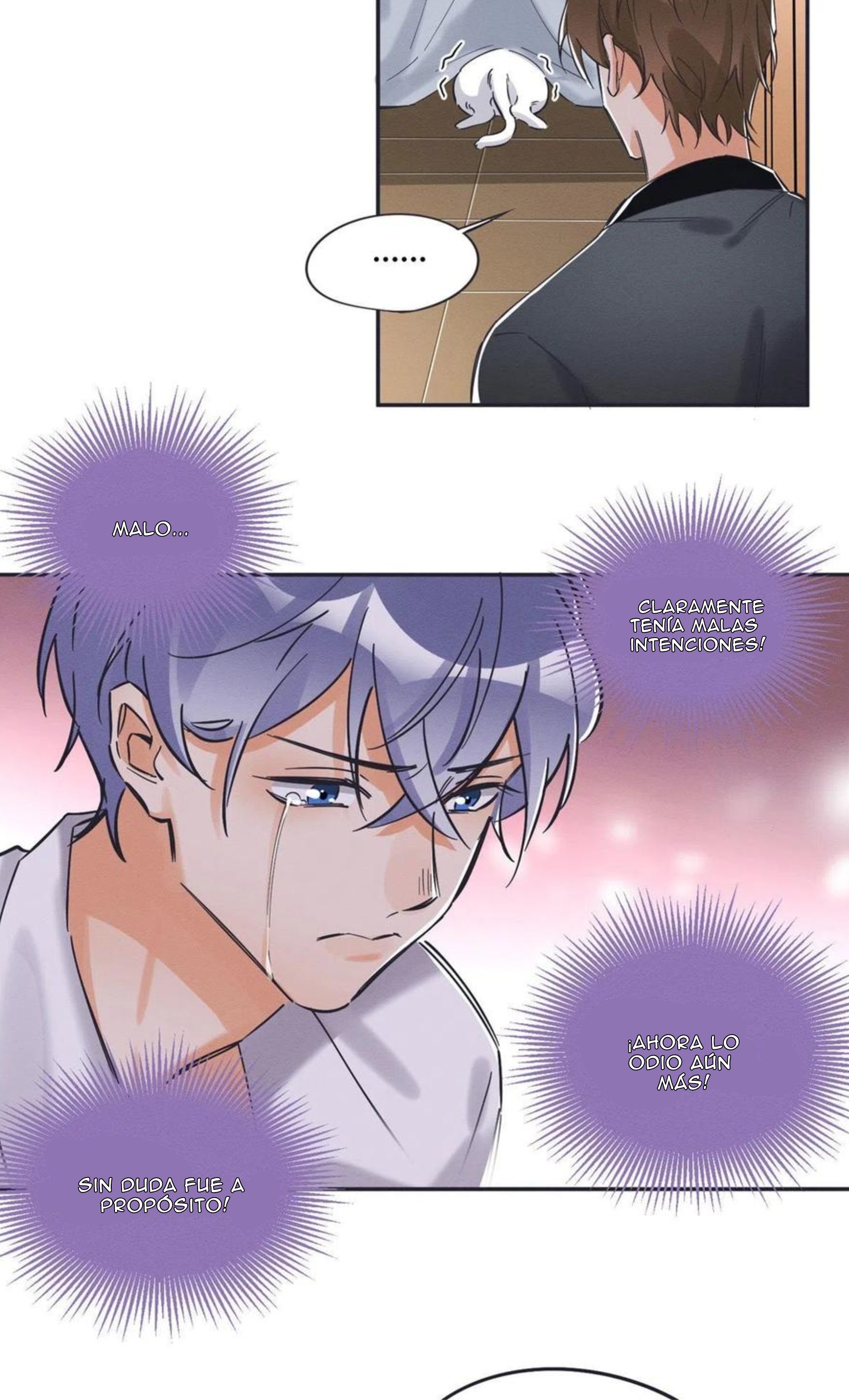 11 Tengo que trabajar duro para ser un gato hoy!