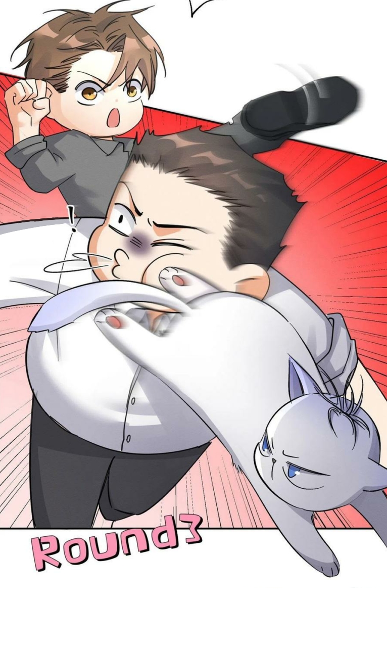 9 Tengo que trabajar duro para ser un gato hoy!