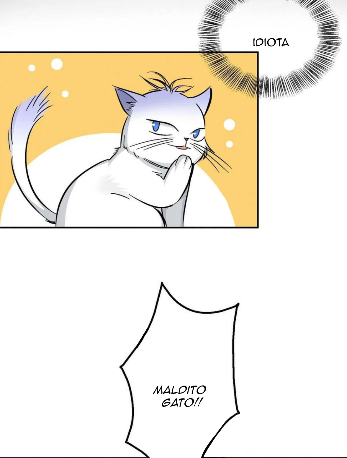 6 Tengo que trabajar duro para ser un gato hoy!