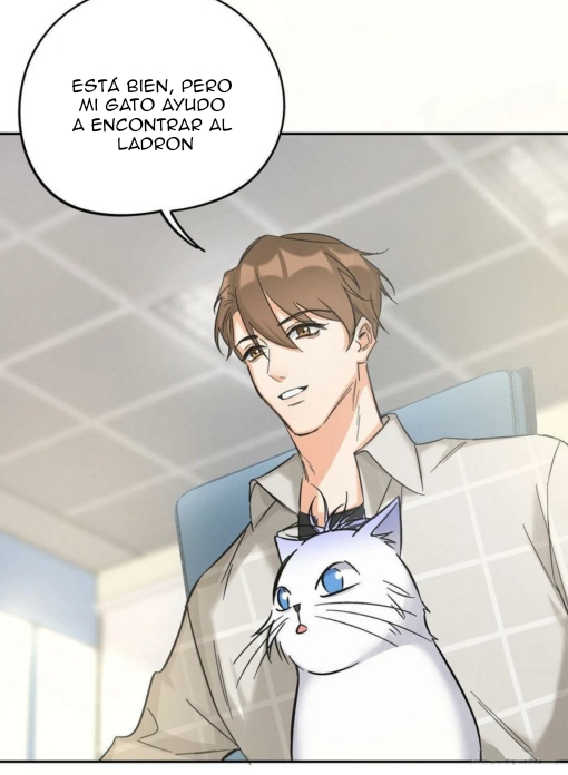 35 Tengo que trabajar duro para ser un gato hoy!