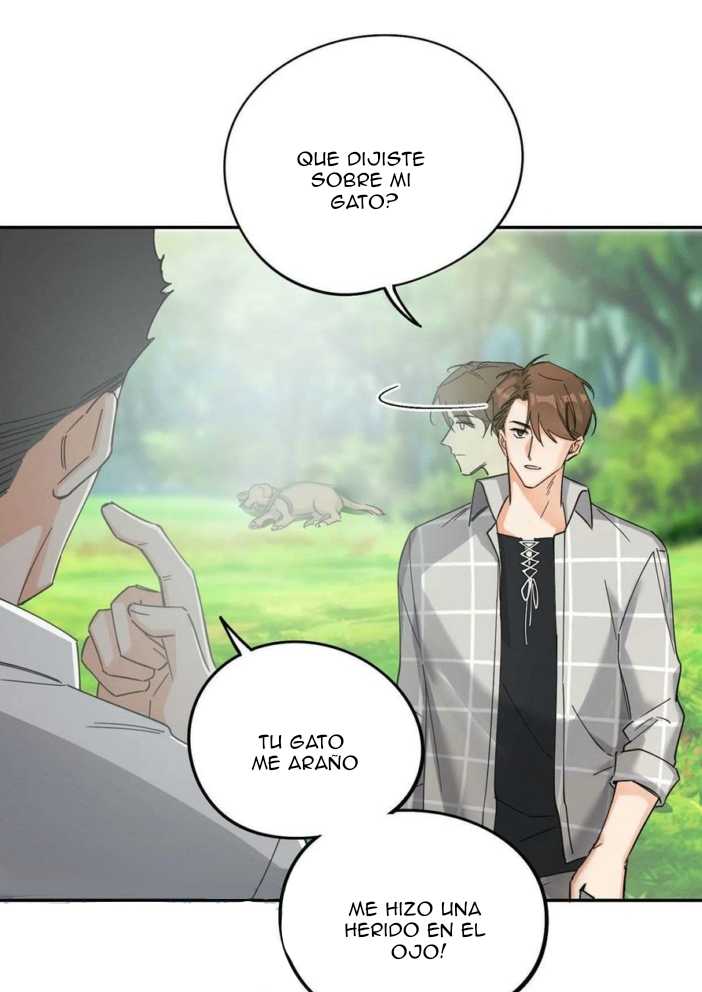 15 Tengo que trabajar duro para ser un gato hoy!