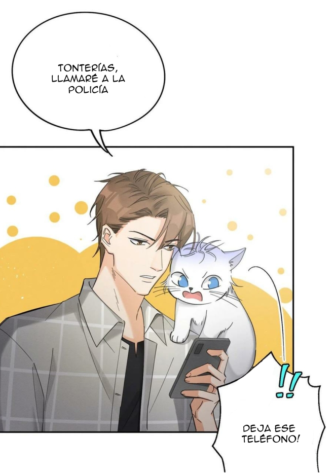 20 Tengo que trabajar duro para ser un gato hoy!