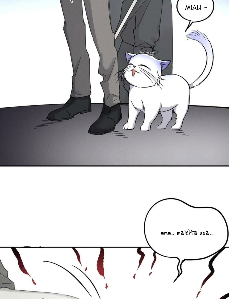 12 Tengo que trabajar duro para ser un gato hoy!