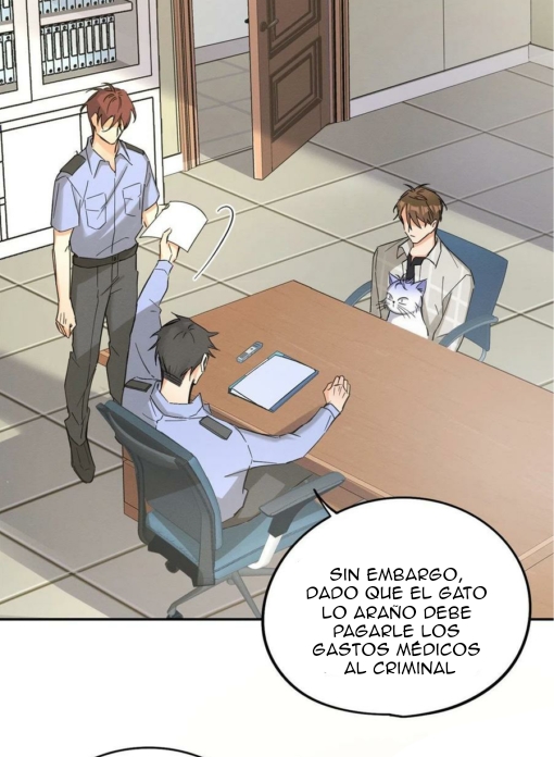 34 Tengo que trabajar duro para ser un gato hoy!