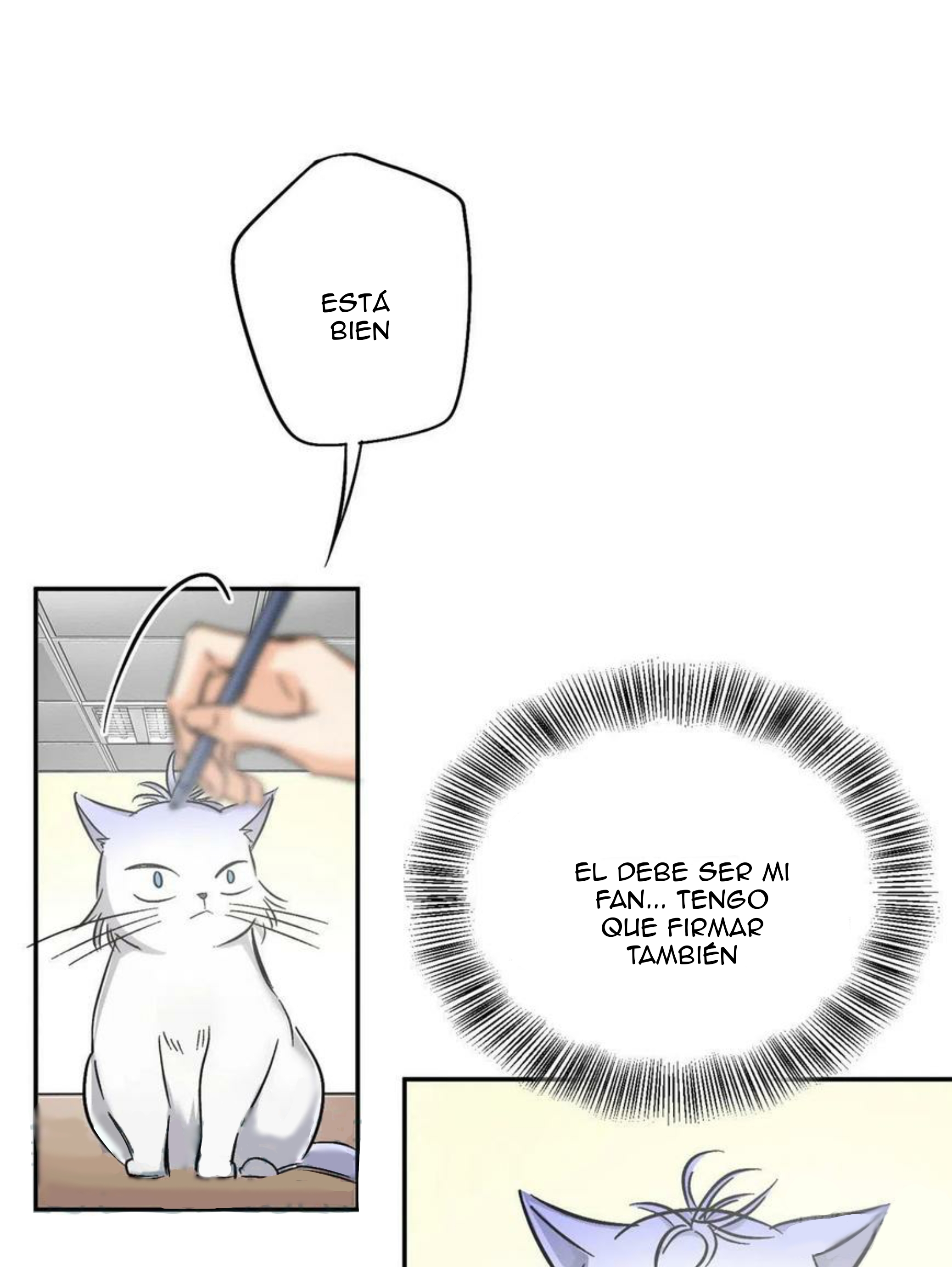 45 Tengo que trabajar duro para ser un gato hoy!