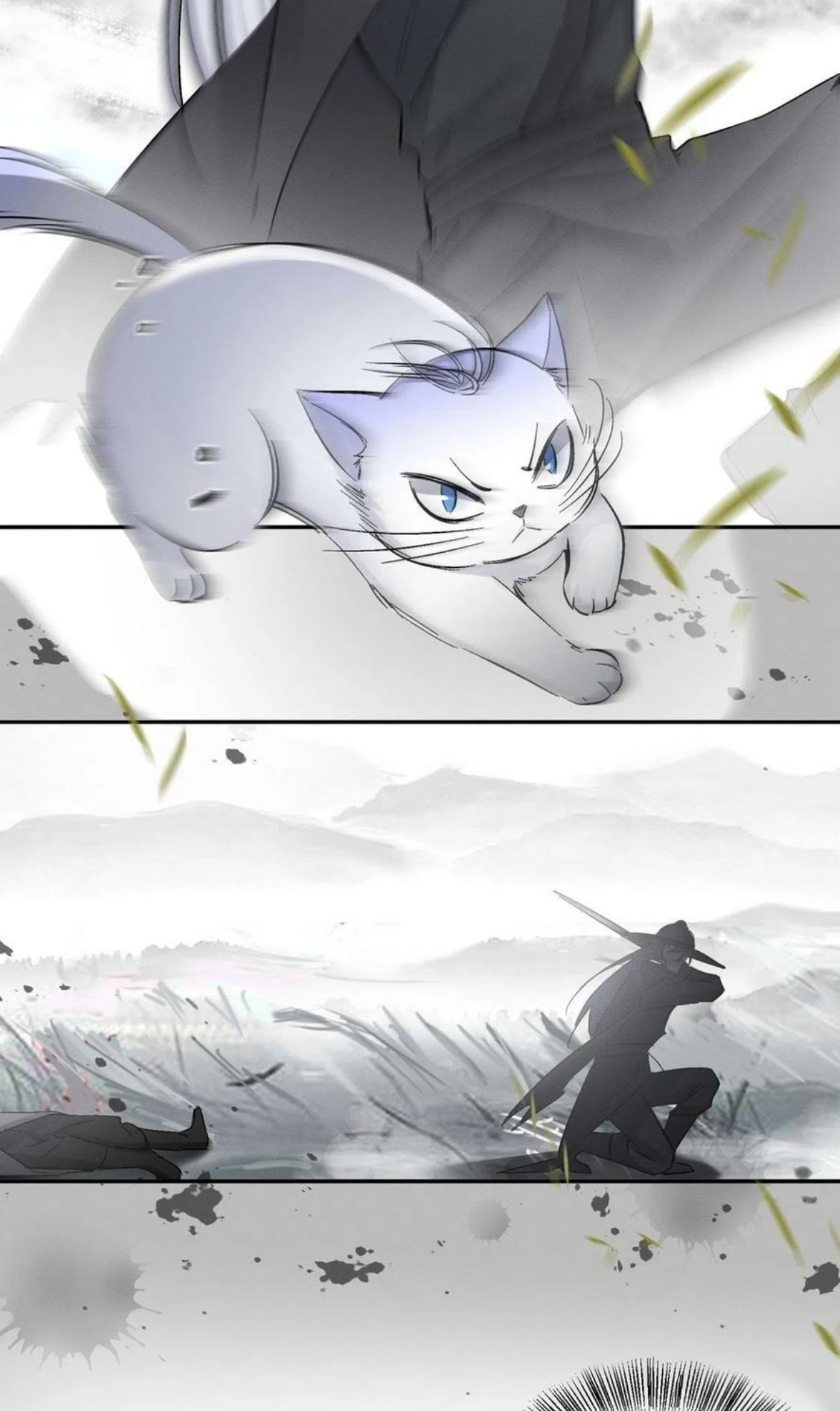 5 Tengo que trabajar duro para ser un gato hoy!