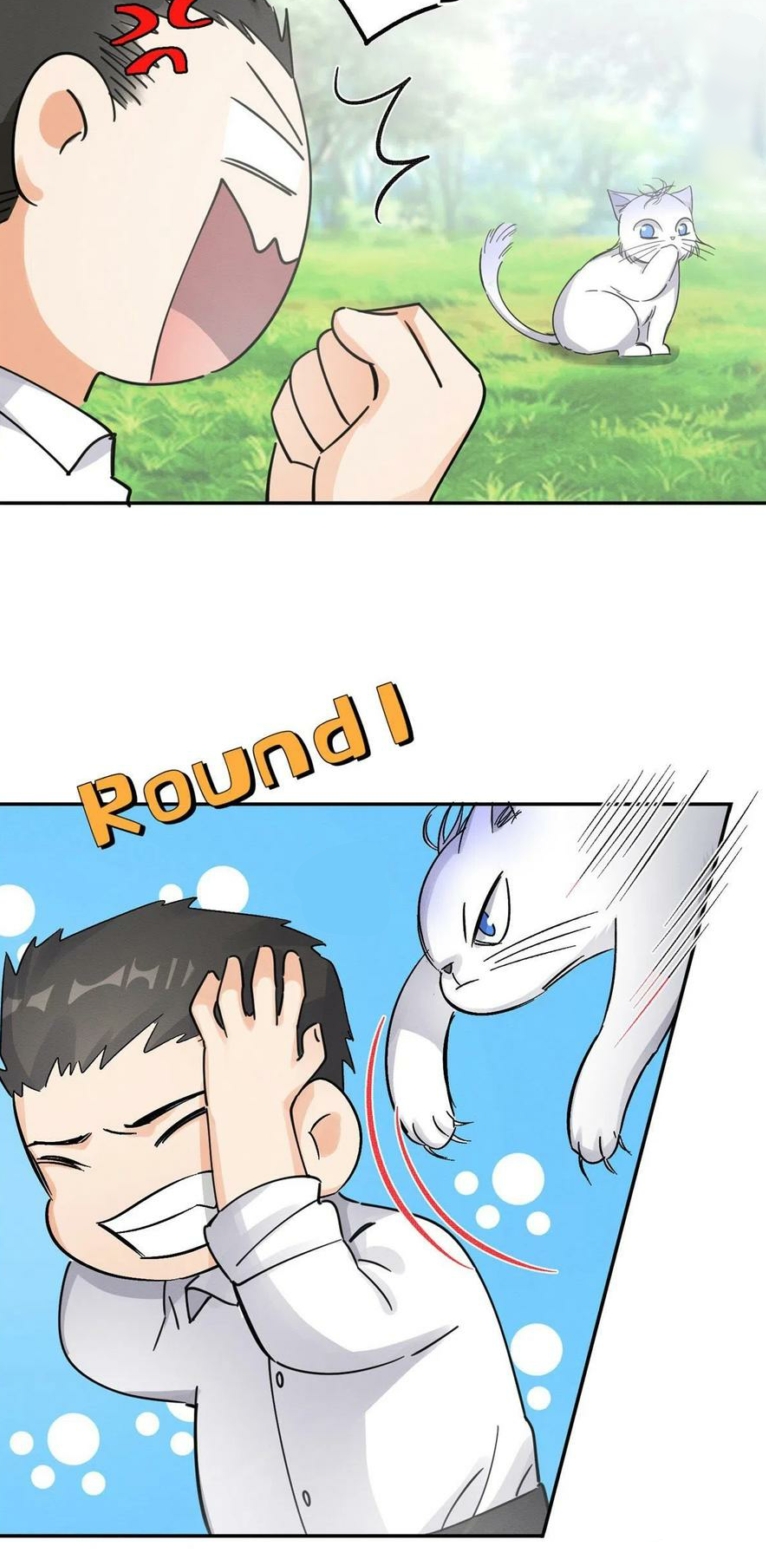 7 Tengo que trabajar duro para ser un gato hoy!