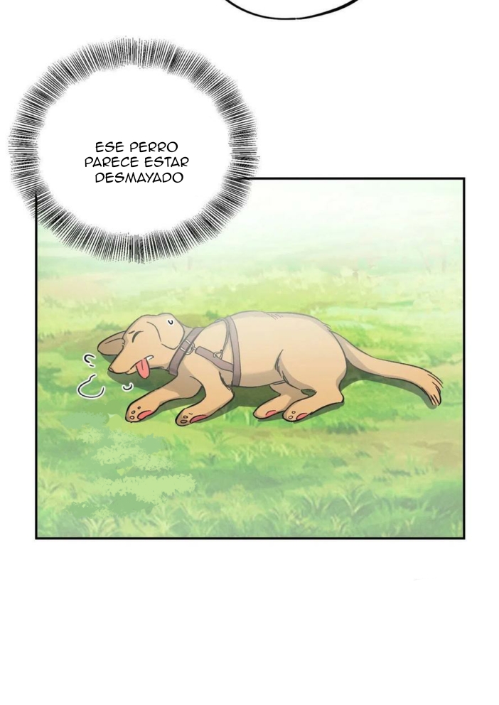 16 Tengo que trabajar duro para ser un gato hoy!