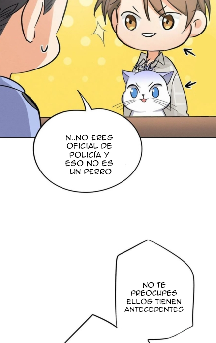 37 Tengo que trabajar duro para ser un gato hoy!