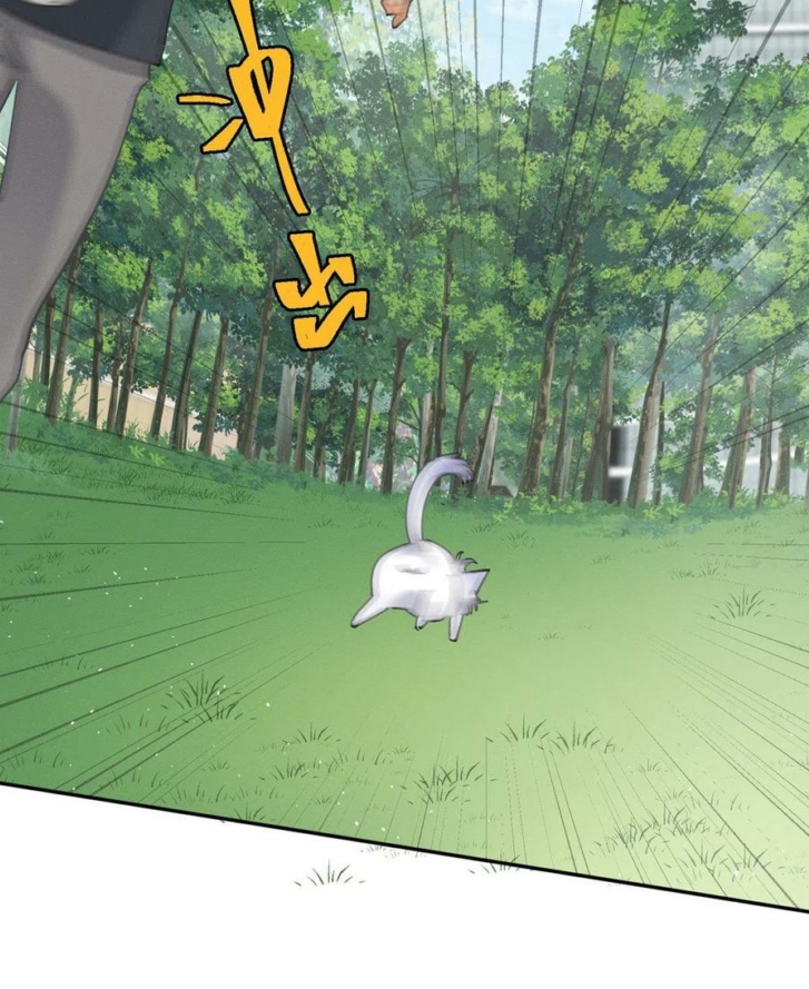 40 Tengo que trabajar duro para ser un gato hoy!