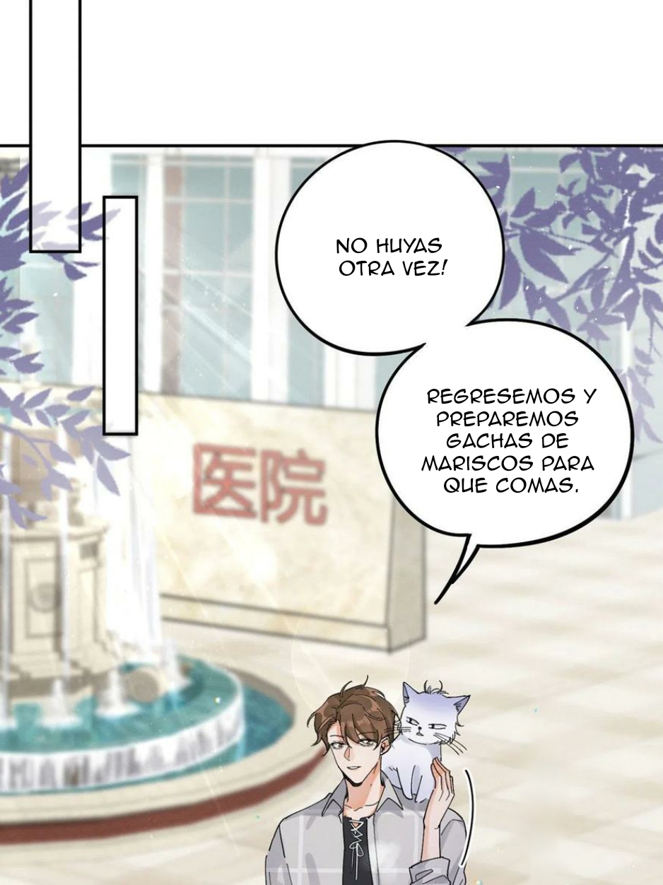 31 Tengo que trabajar duro para ser un gato hoy!