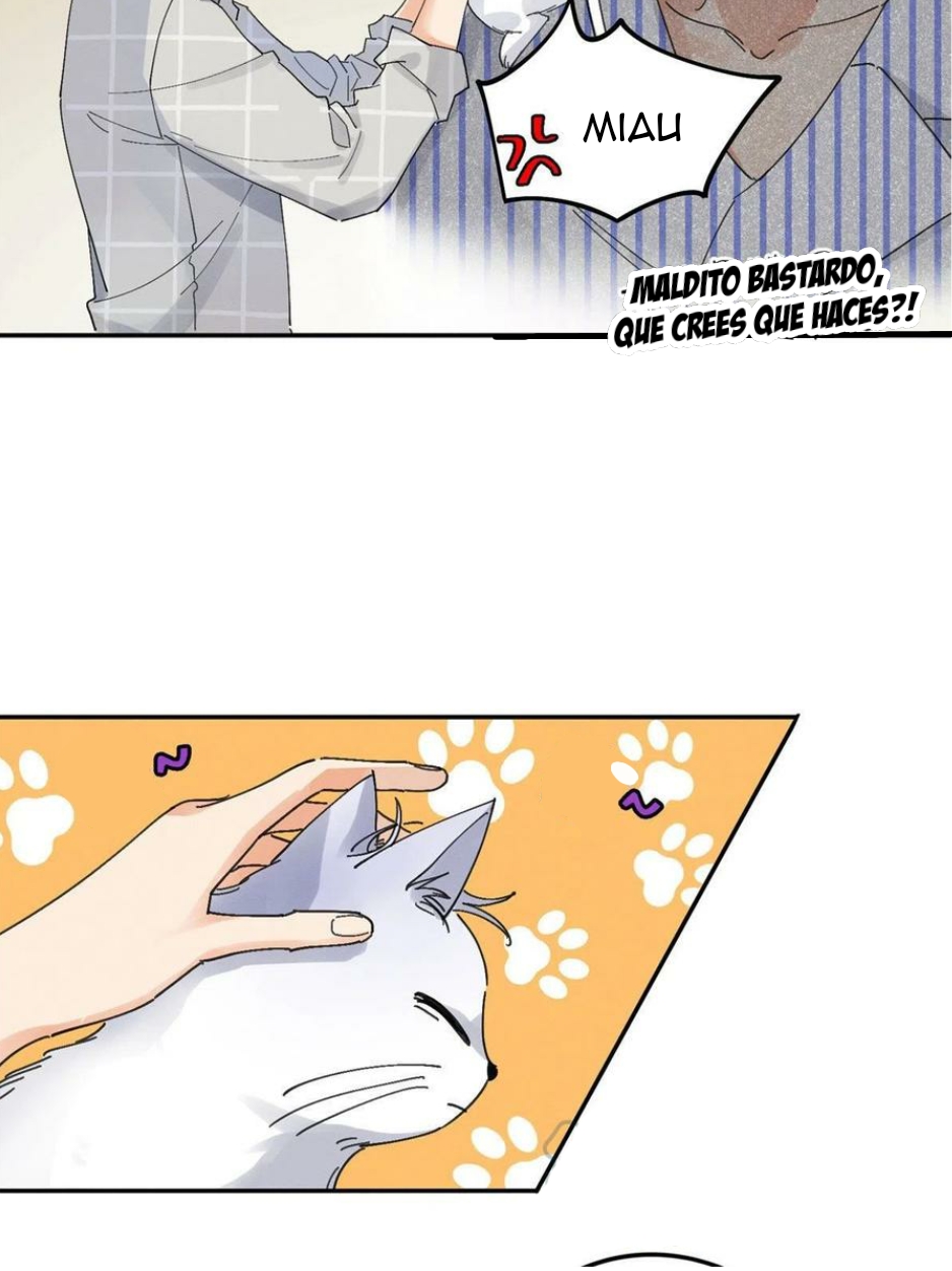 27 Tengo que trabajar duro para ser un gato hoy!