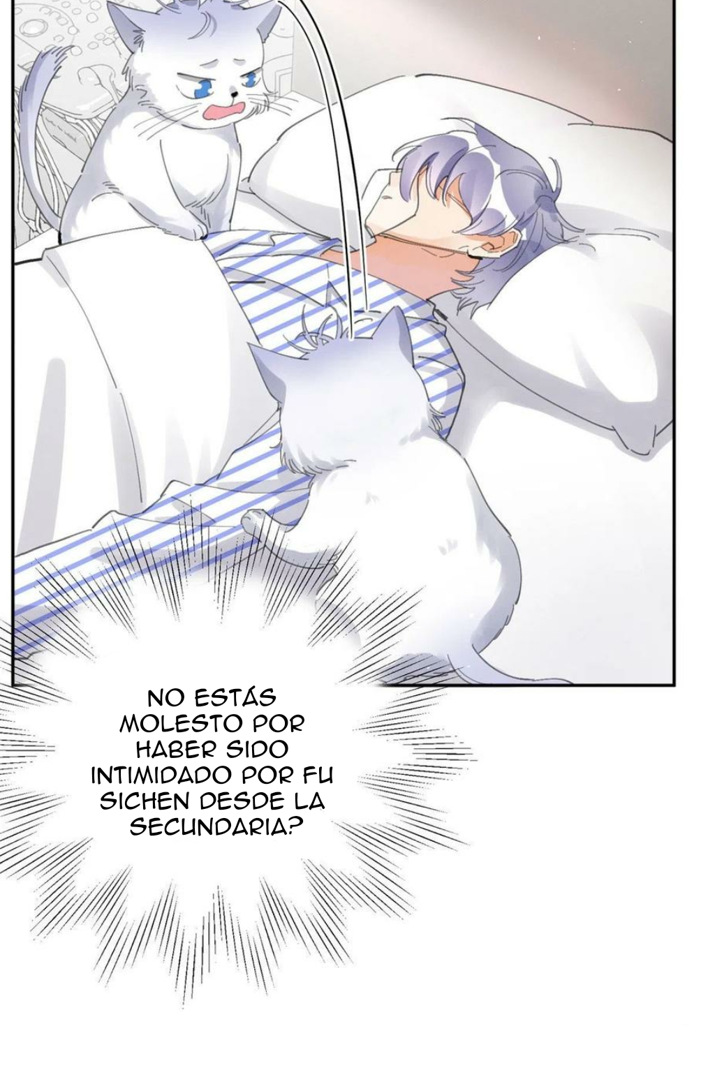 22 Tengo que trabajar duro para ser un gato hoy!