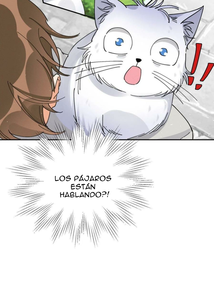 36 Tengo que trabajar duro para ser un gato hoy!