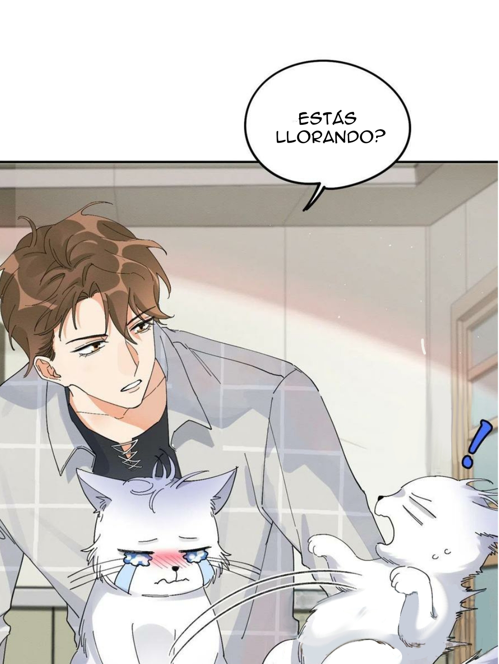 24 Tengo que trabajar duro para ser un gato hoy!