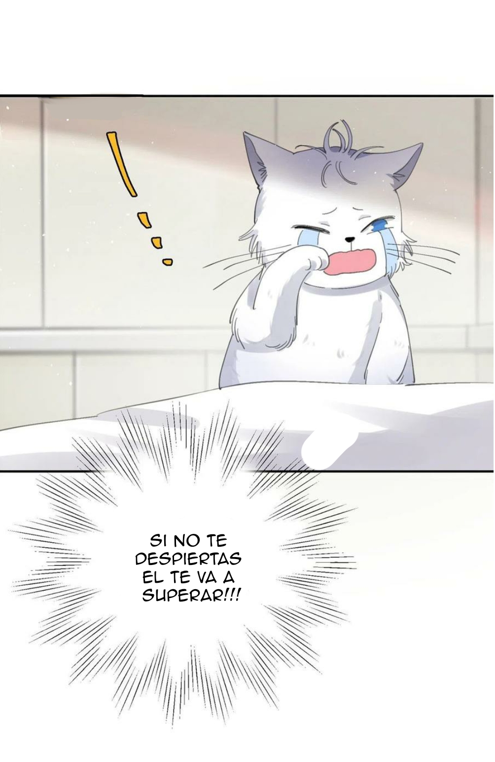 23 Tengo que trabajar duro para ser un gato hoy!