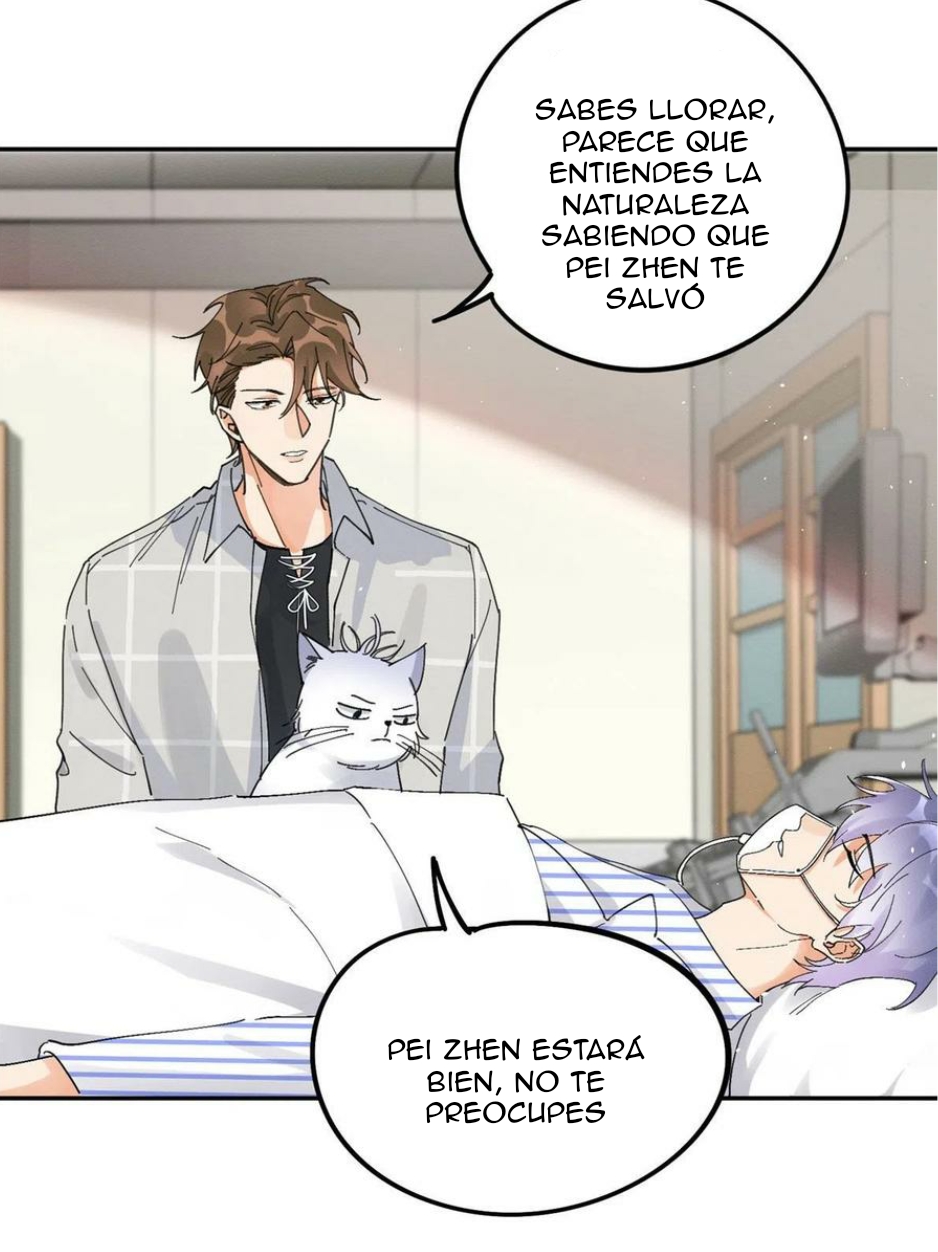 28 Tengo que trabajar duro para ser un gato hoy!