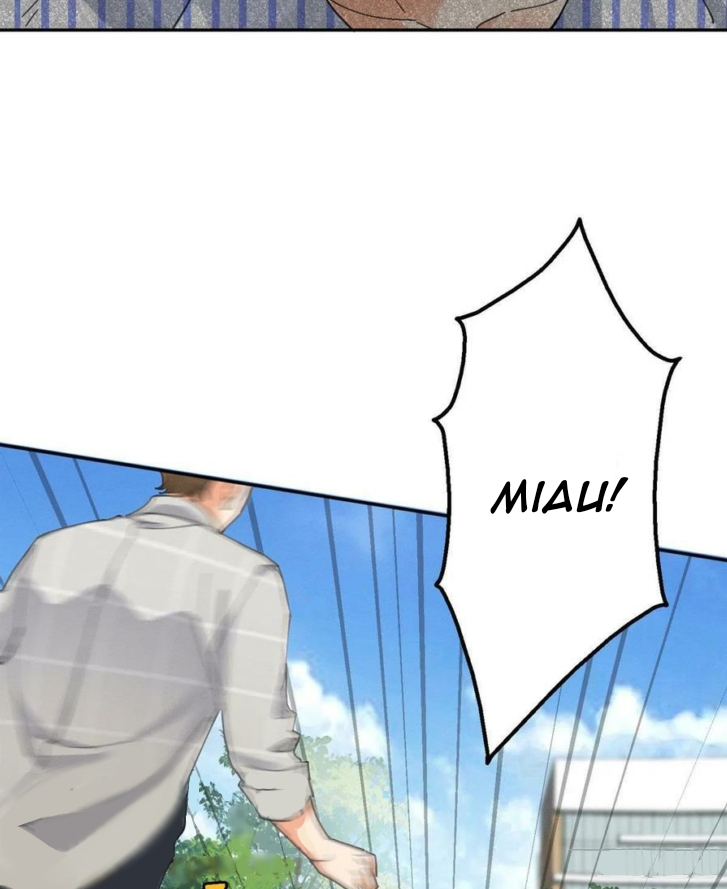 39 Tengo que trabajar duro para ser un gato hoy!