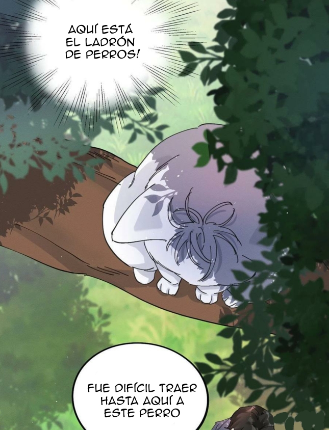 43 Tengo que trabajar duro para ser un gato hoy!