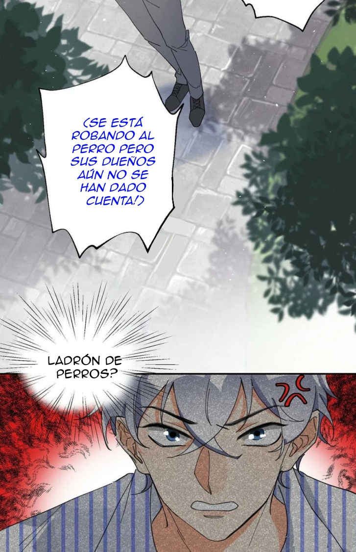 38 Tengo que trabajar duro para ser un gato hoy!